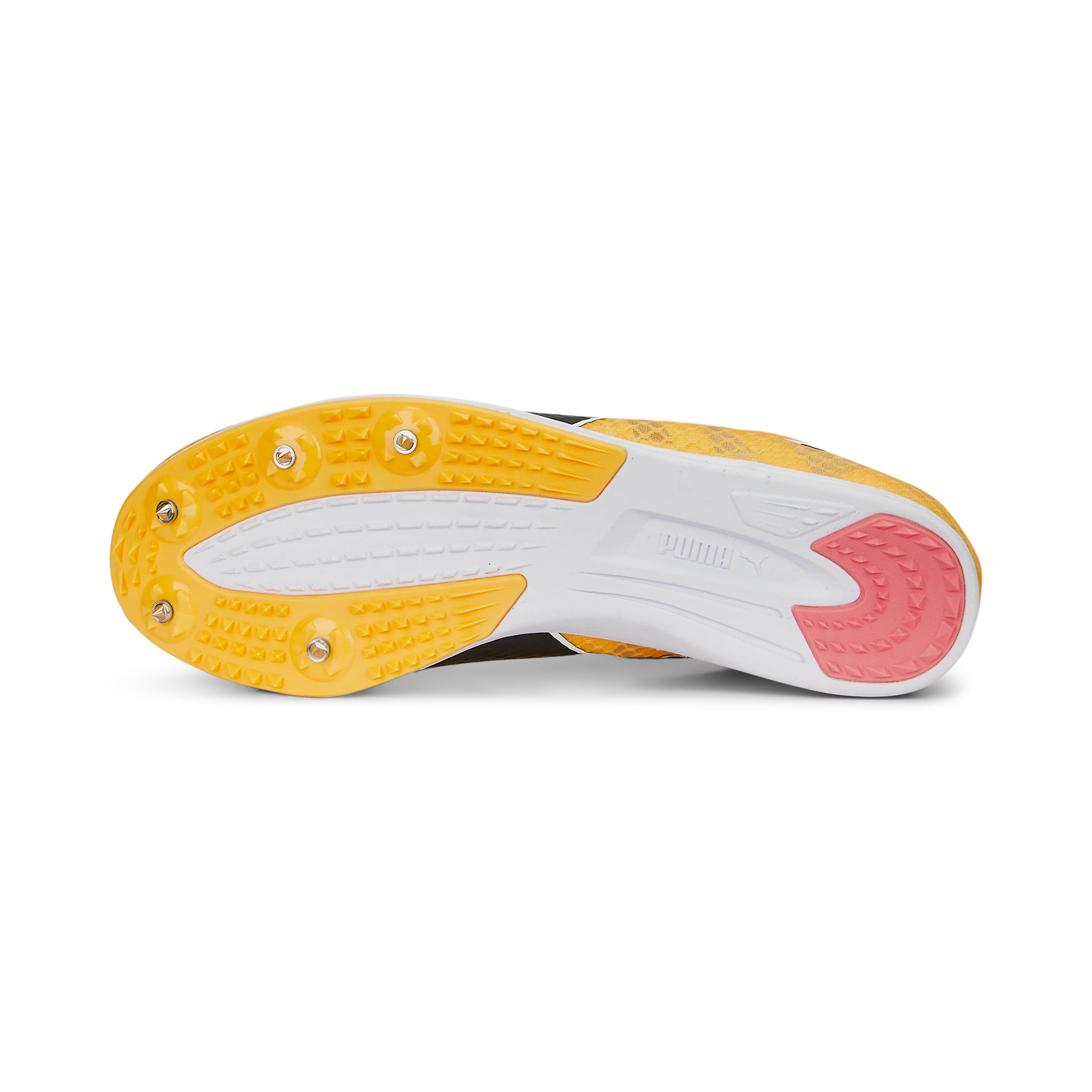 evoSPEED Distance 11