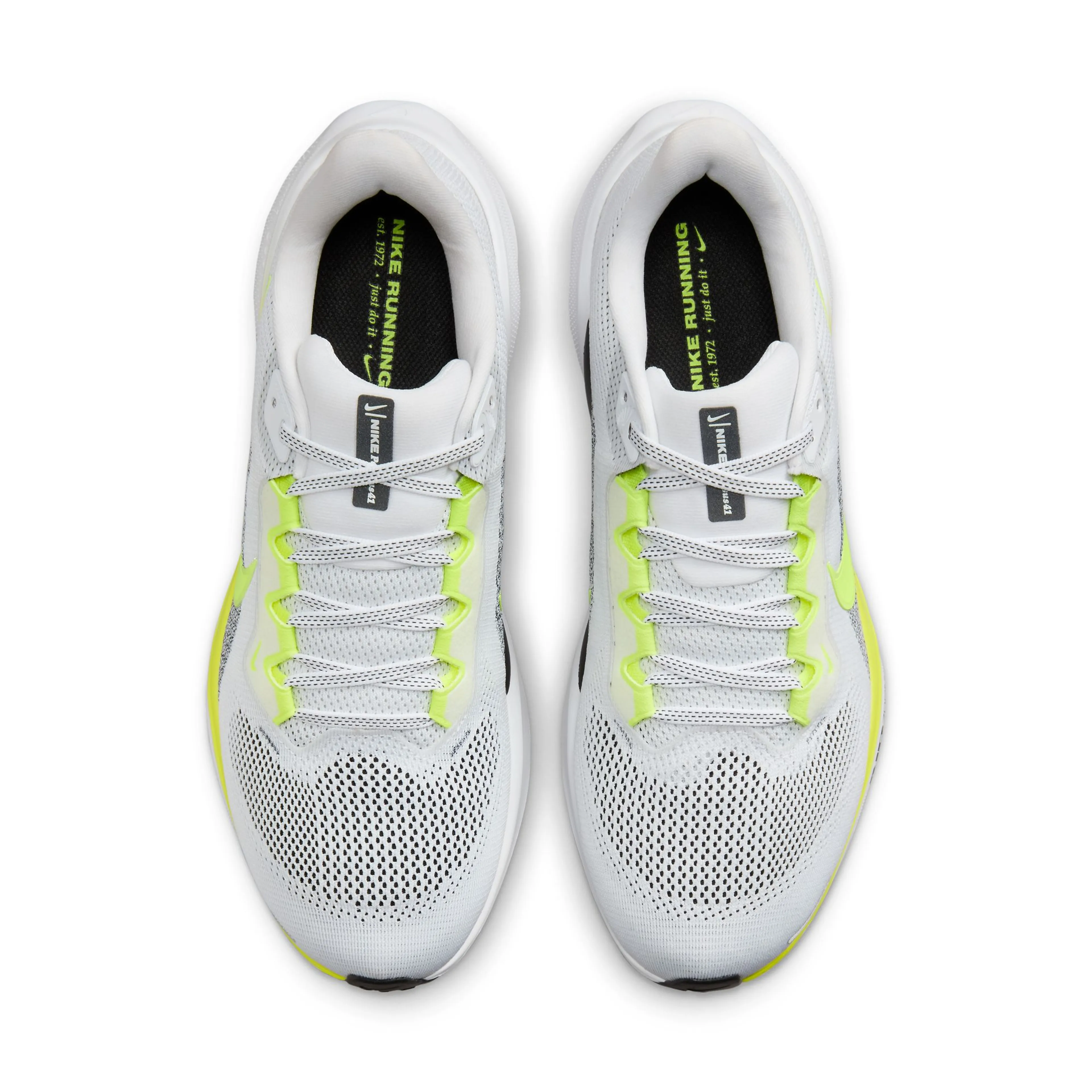  Pegasus 41