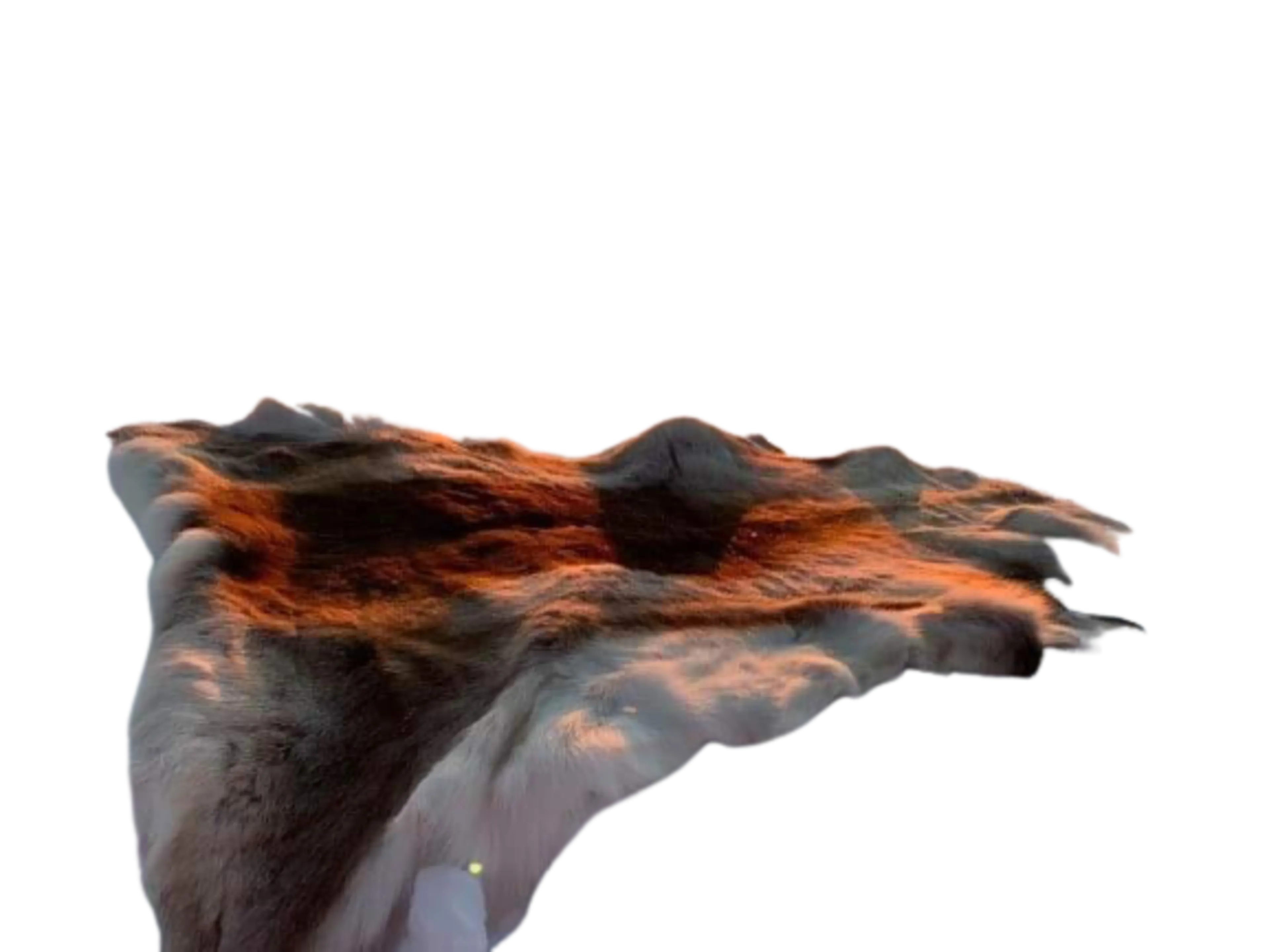 Reinskinn tur