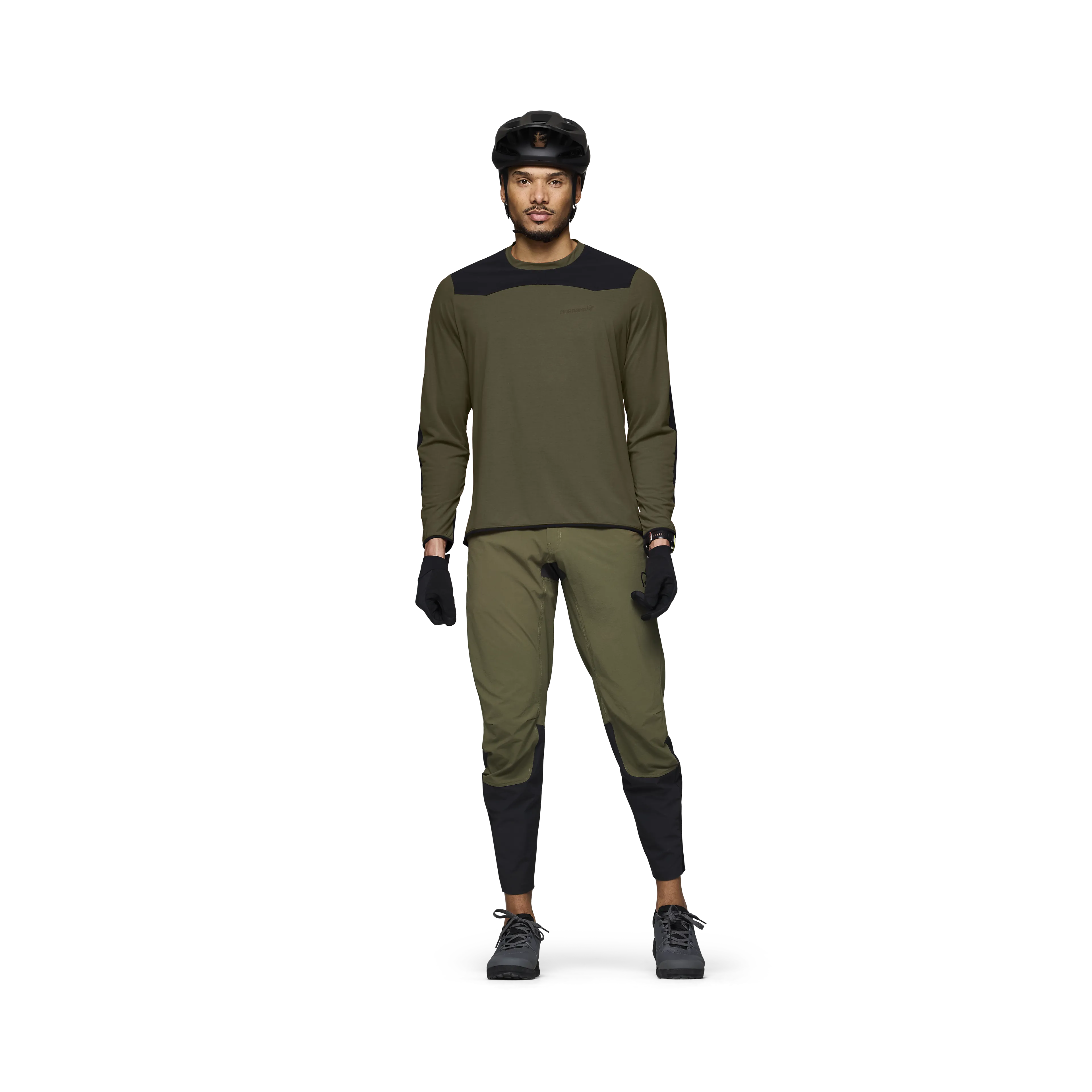 Olive Night