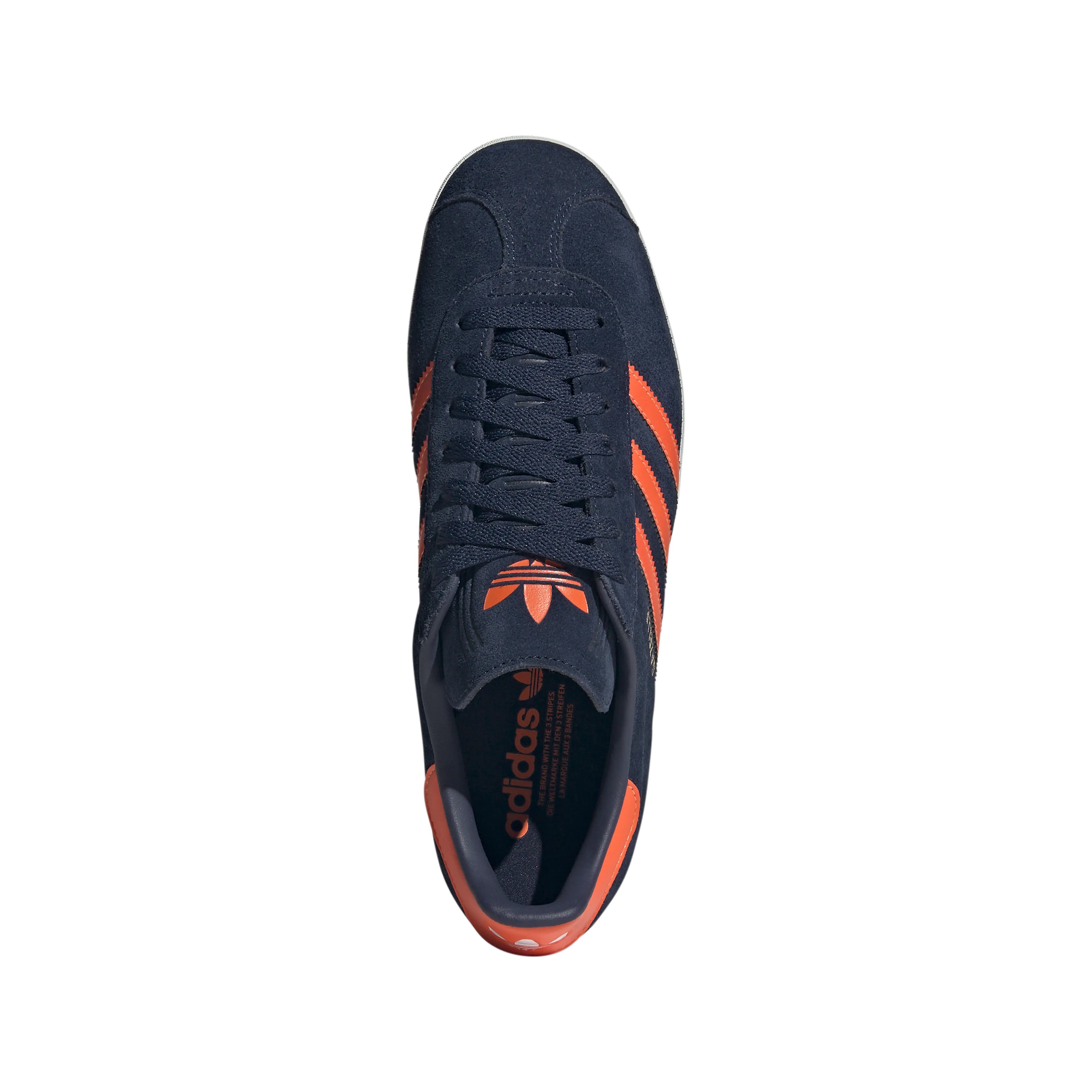 Gazelle