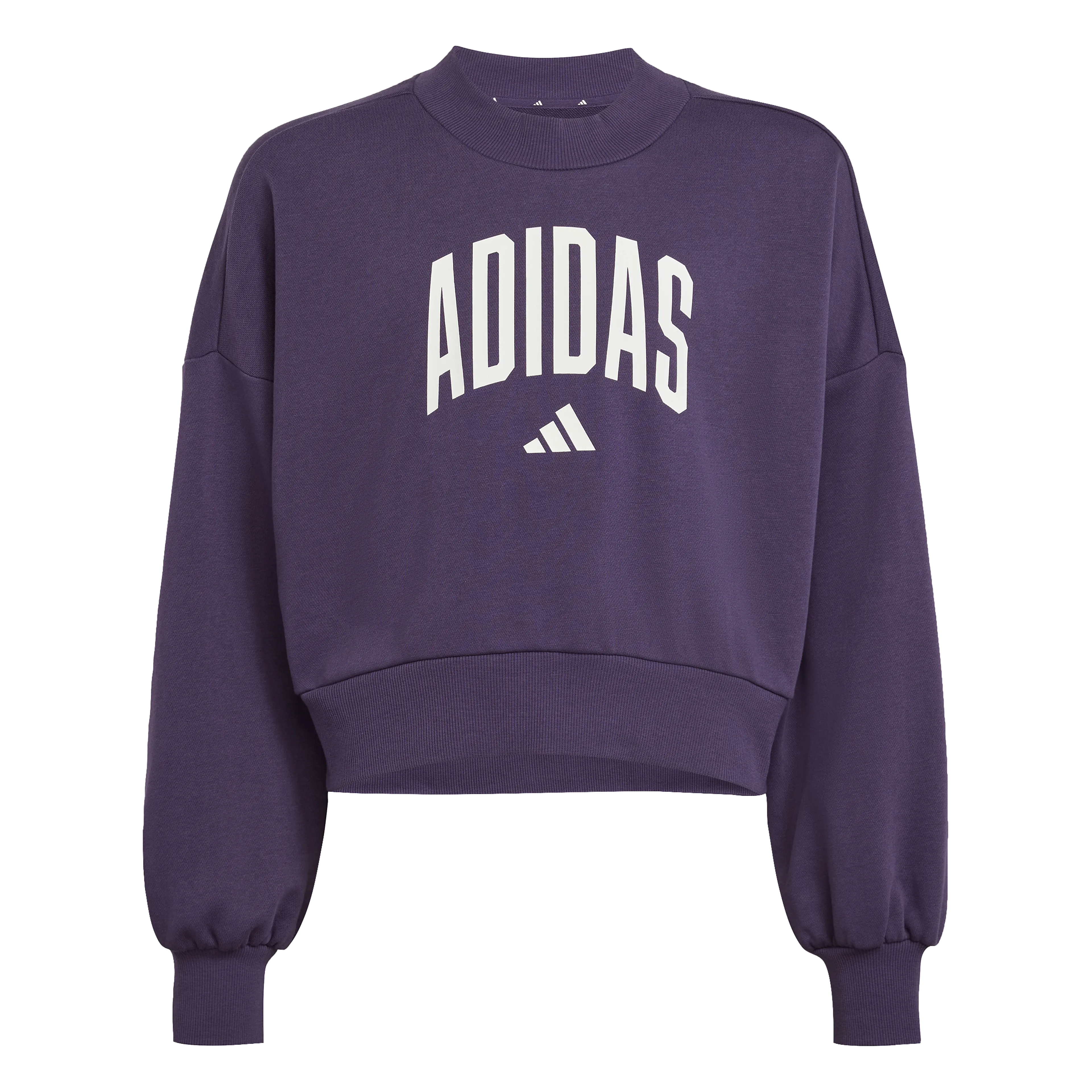 Seasonals Essentials Collegiate Typography Crewneck Genser Junior