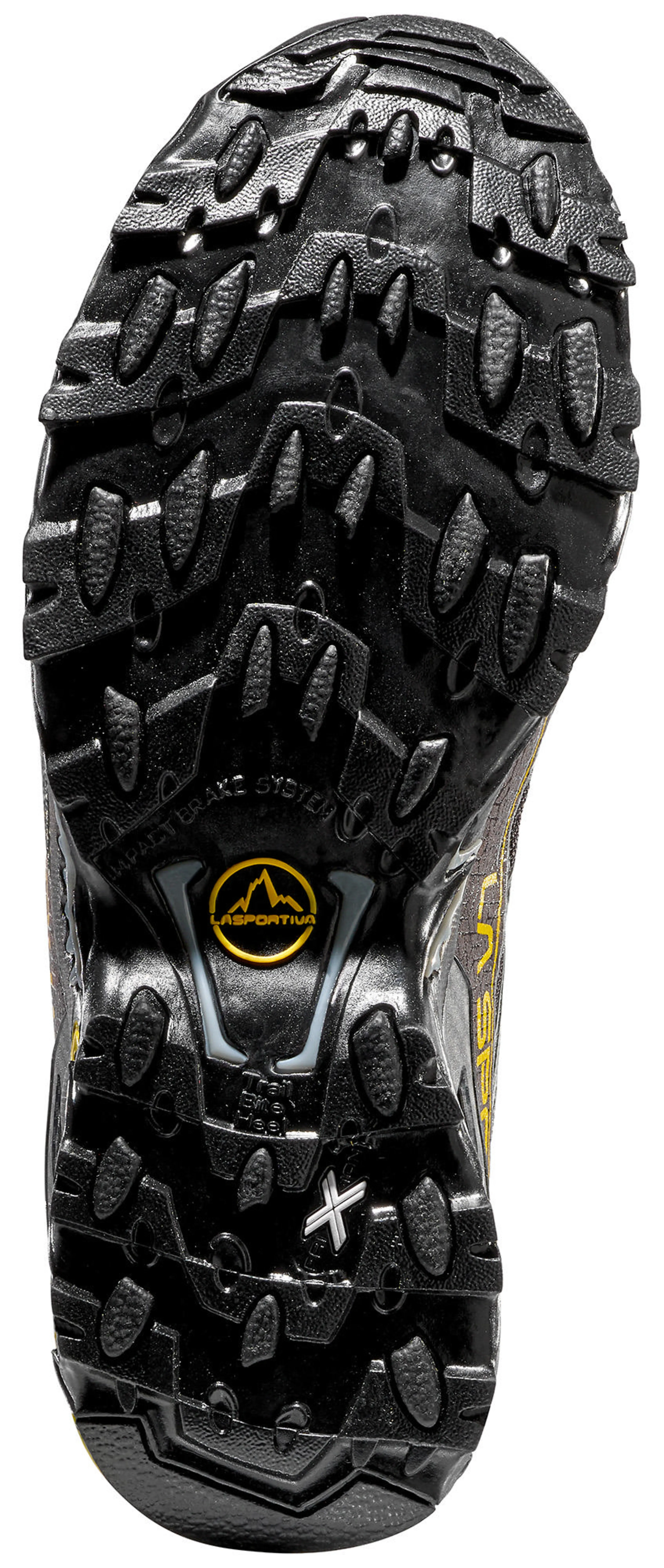 Ultra Raptor II GTX Hikingsko