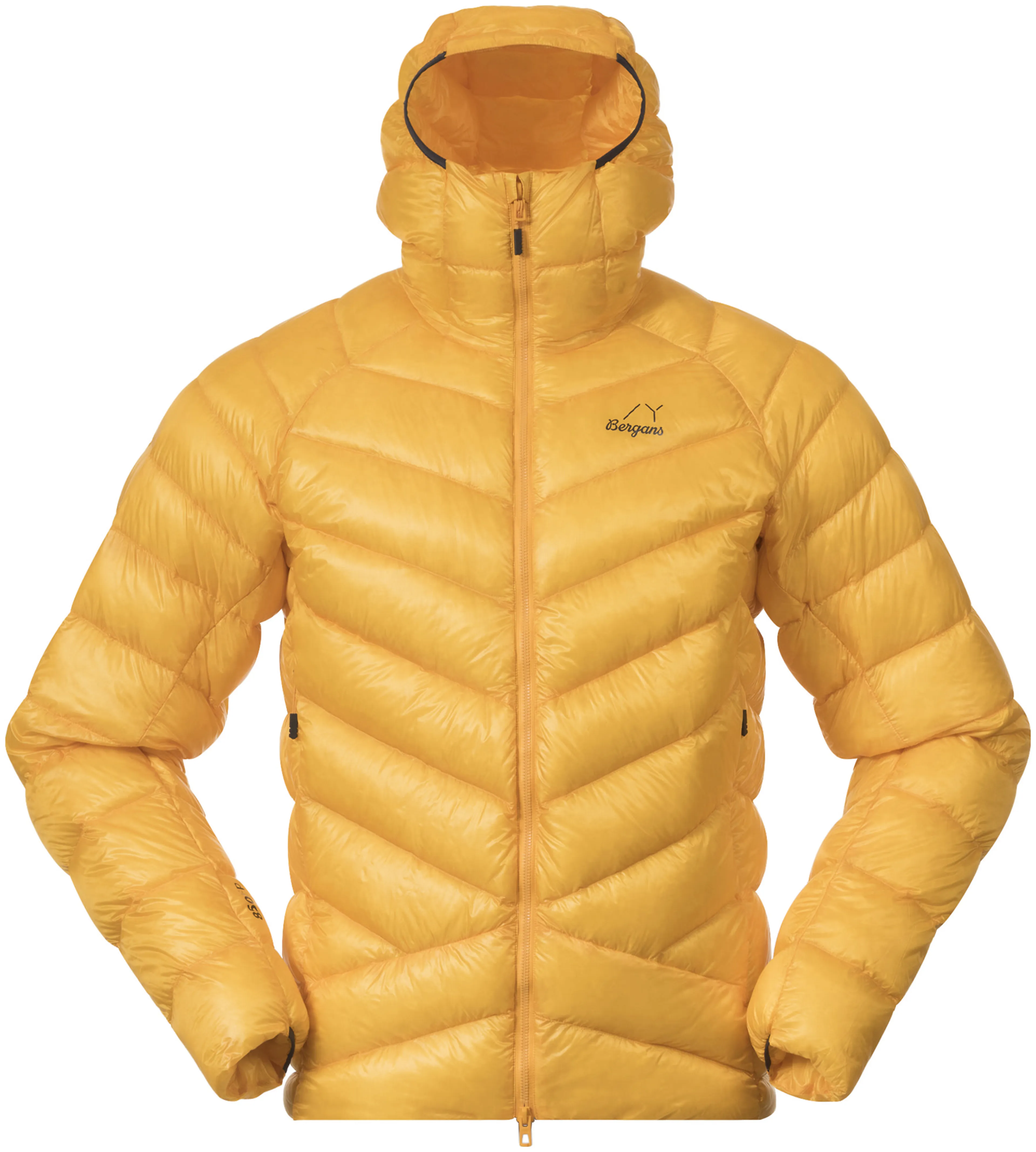 Y LightLine Weightless Down Jacket Hood Men