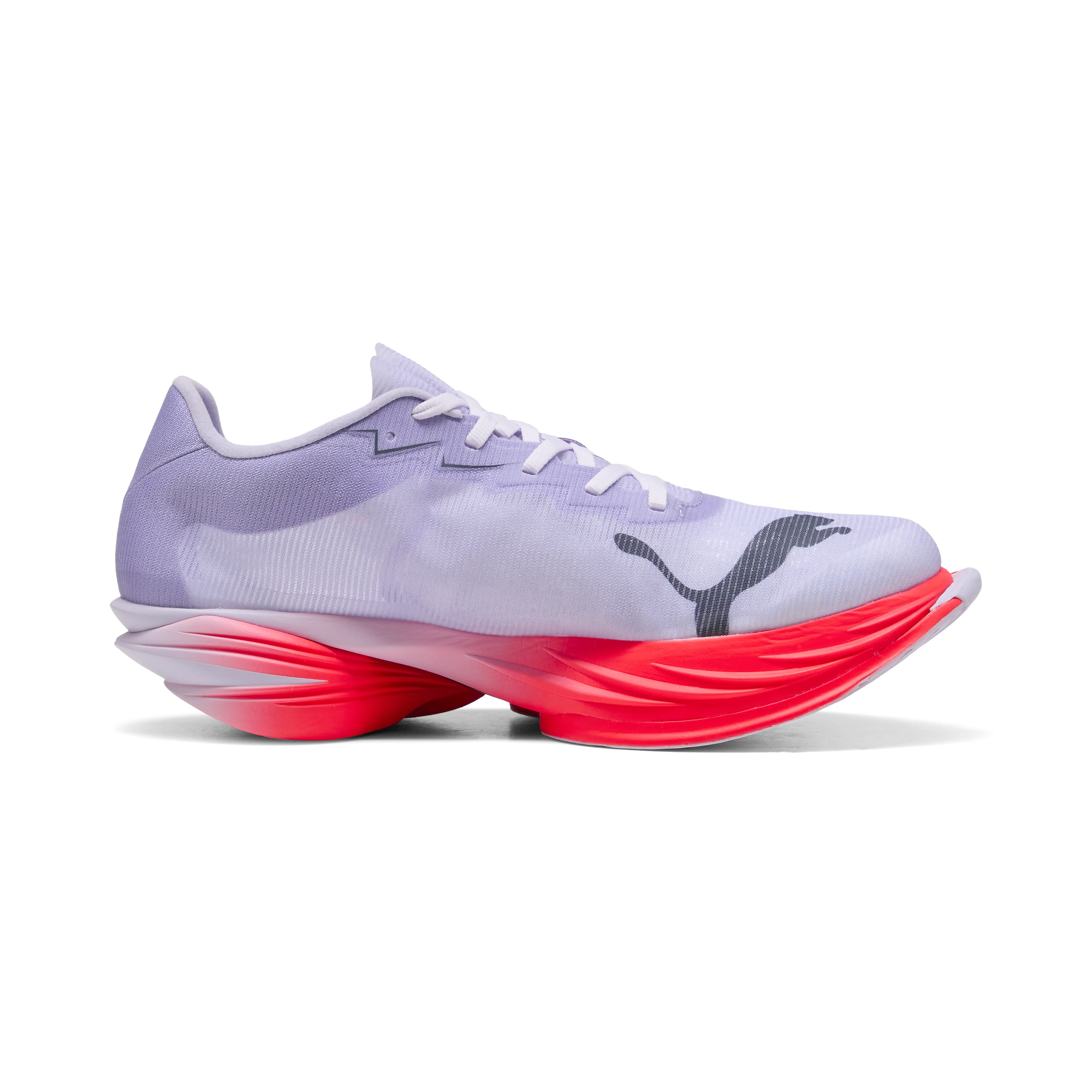 Fast-R Nitro Elite 3