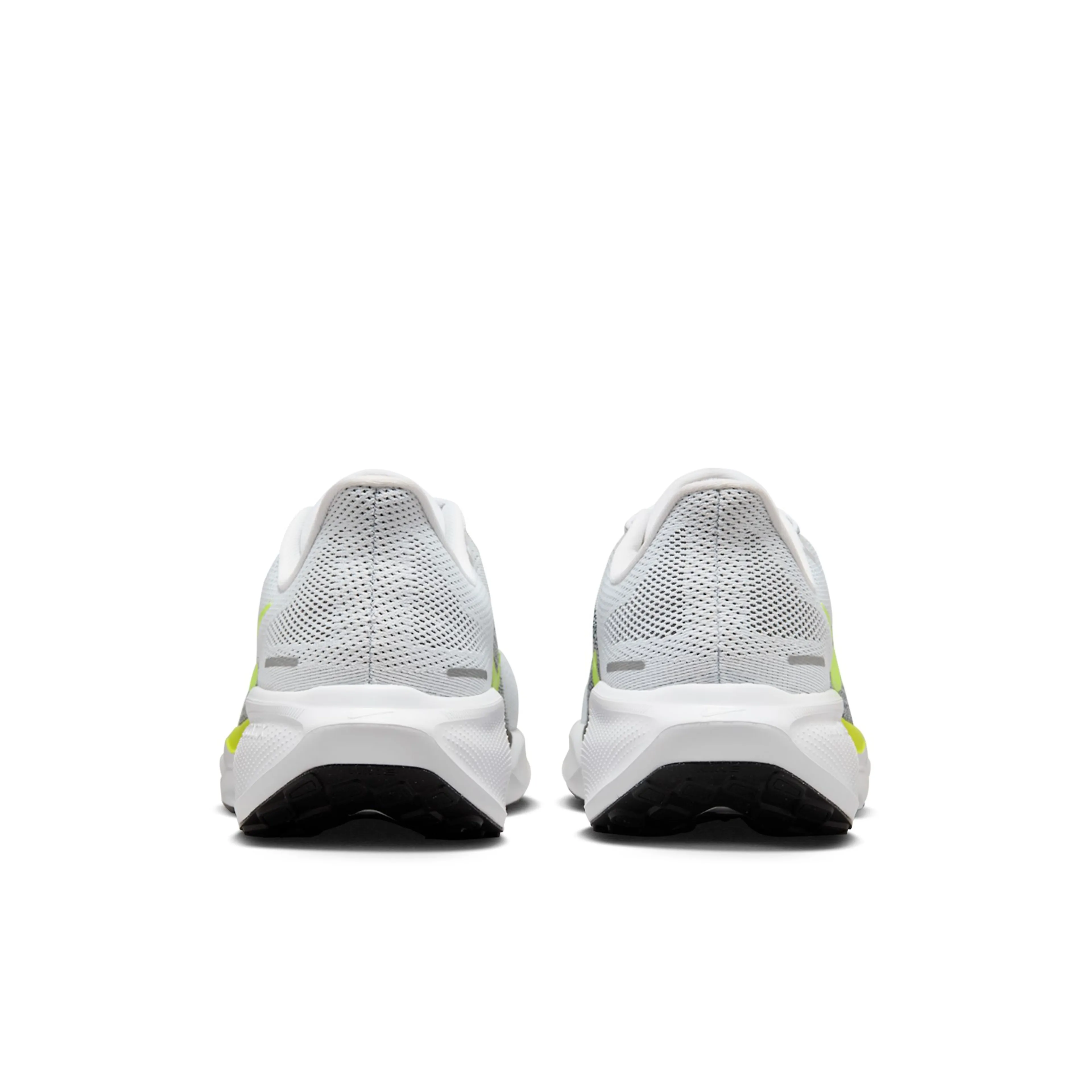  Pegasus 41