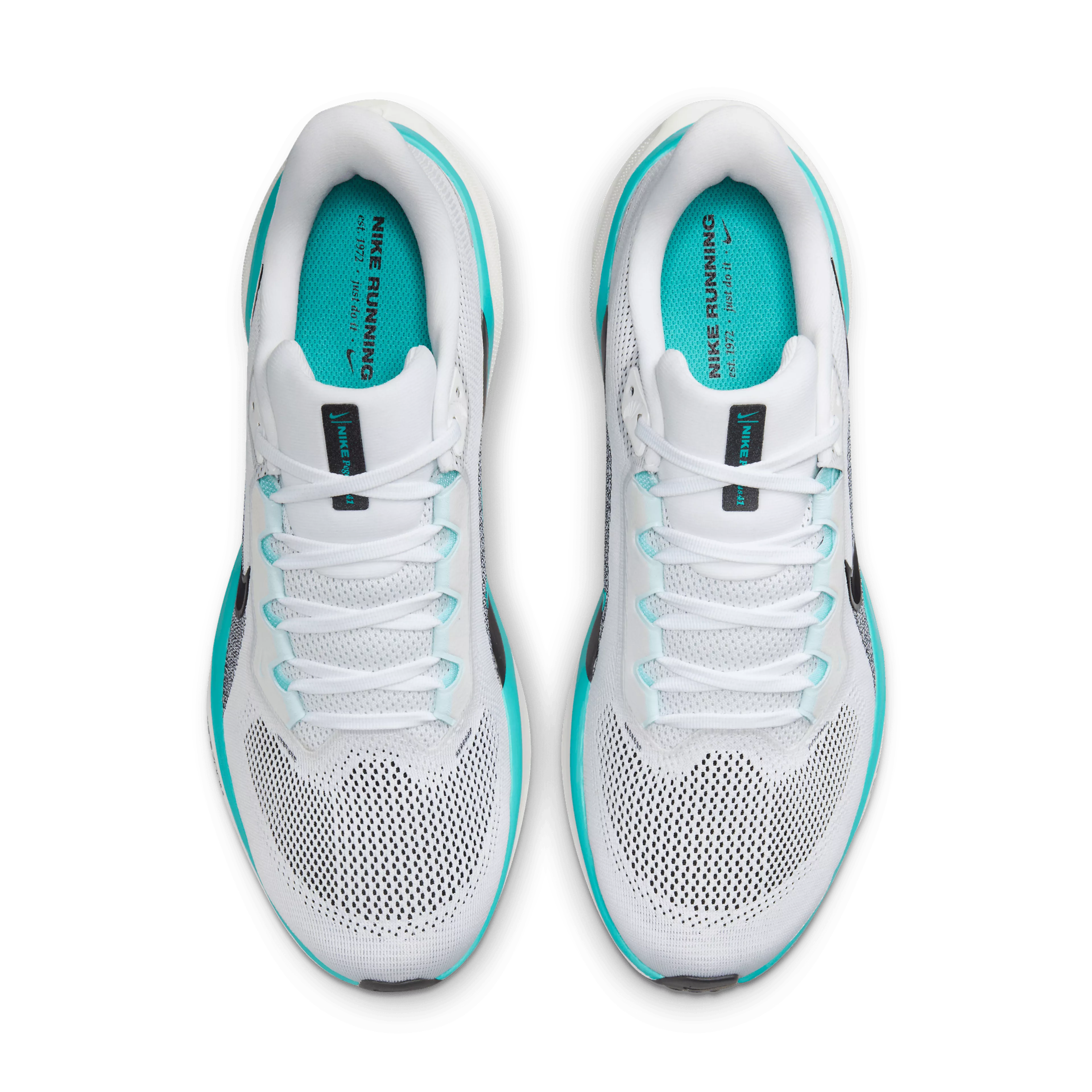  Pegasus 41