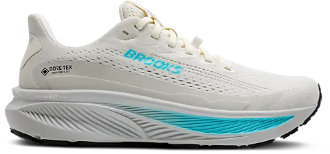 Brooks Ghost GTX 17