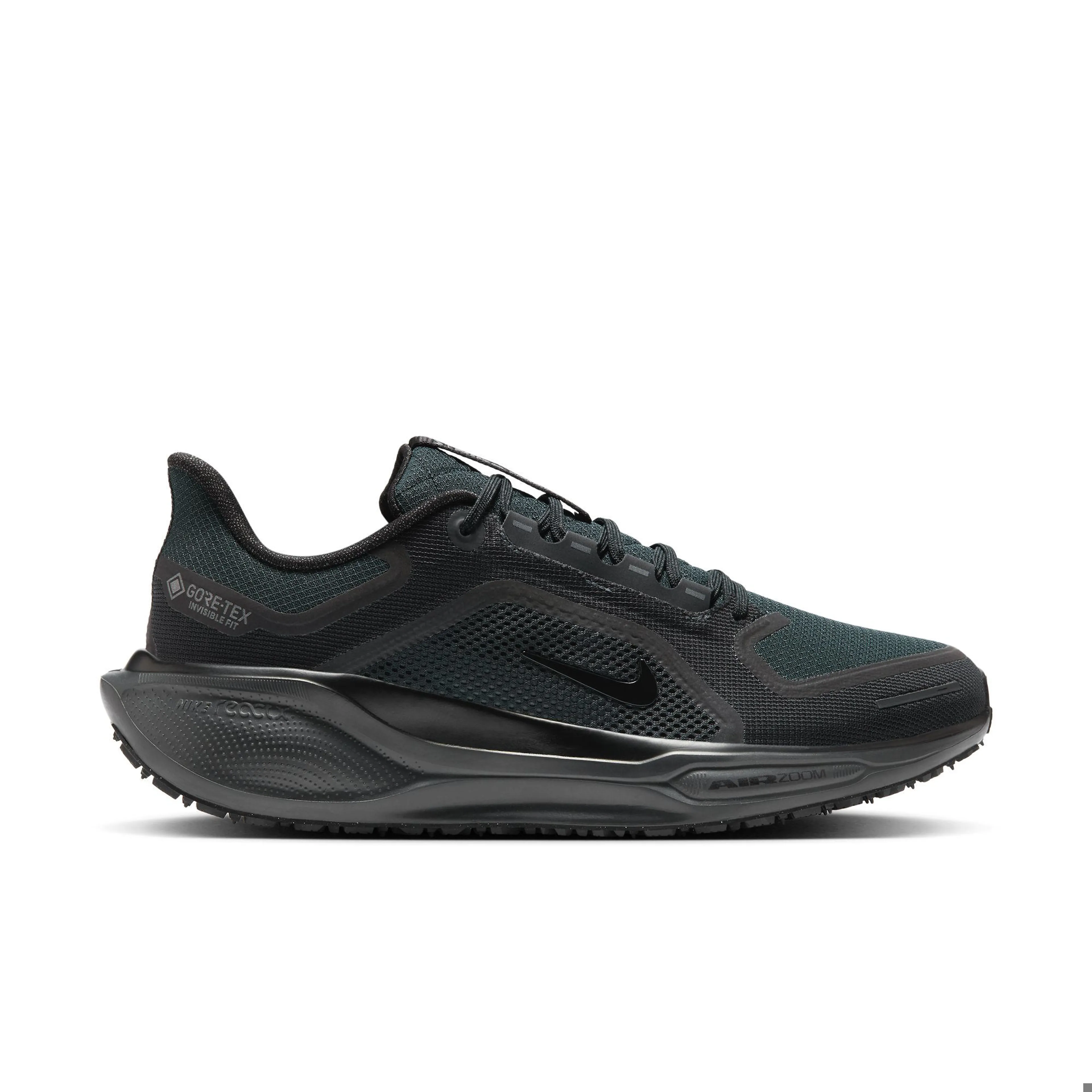 Pegasus 41 GORE-TEX
