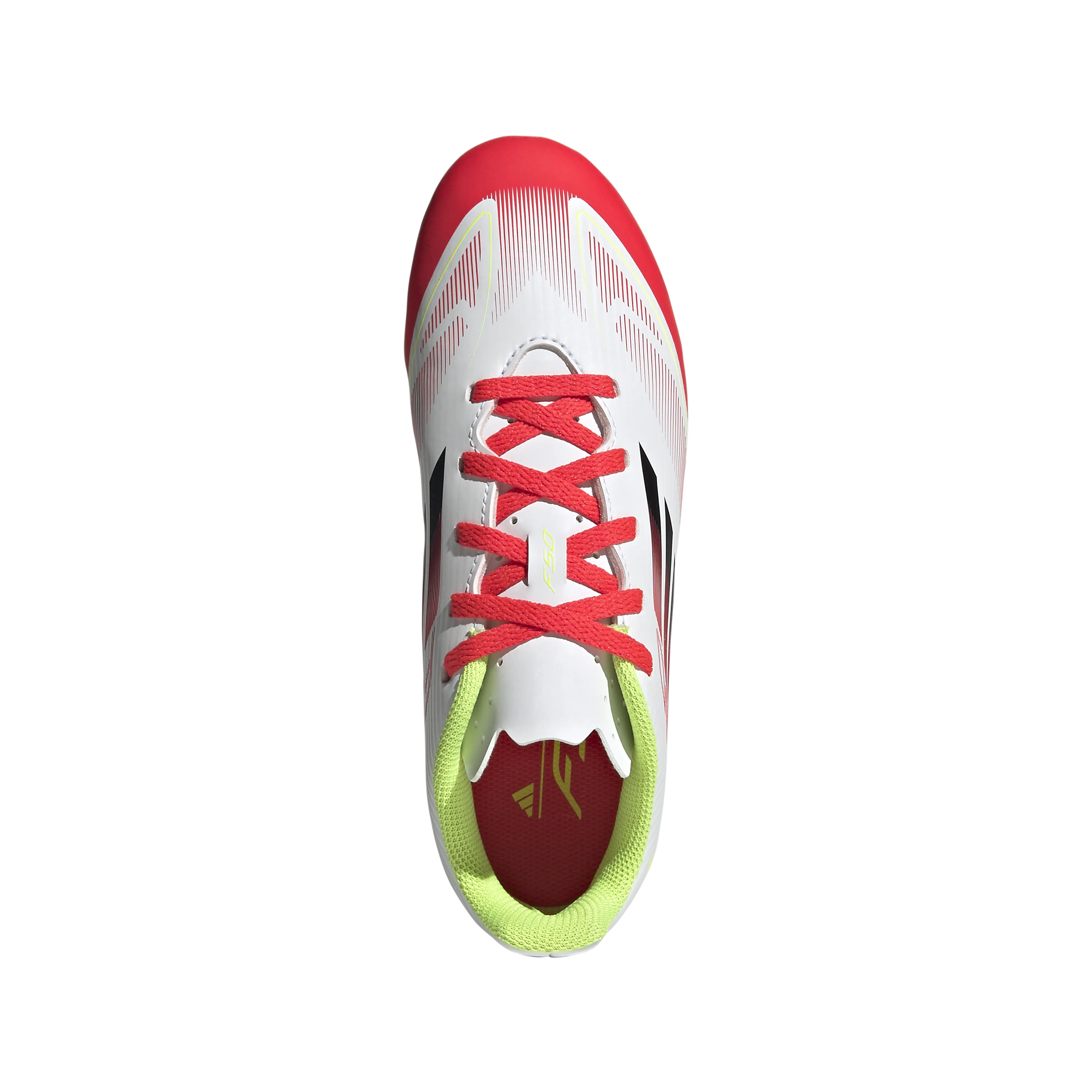 F50 CLUB FG/MG J