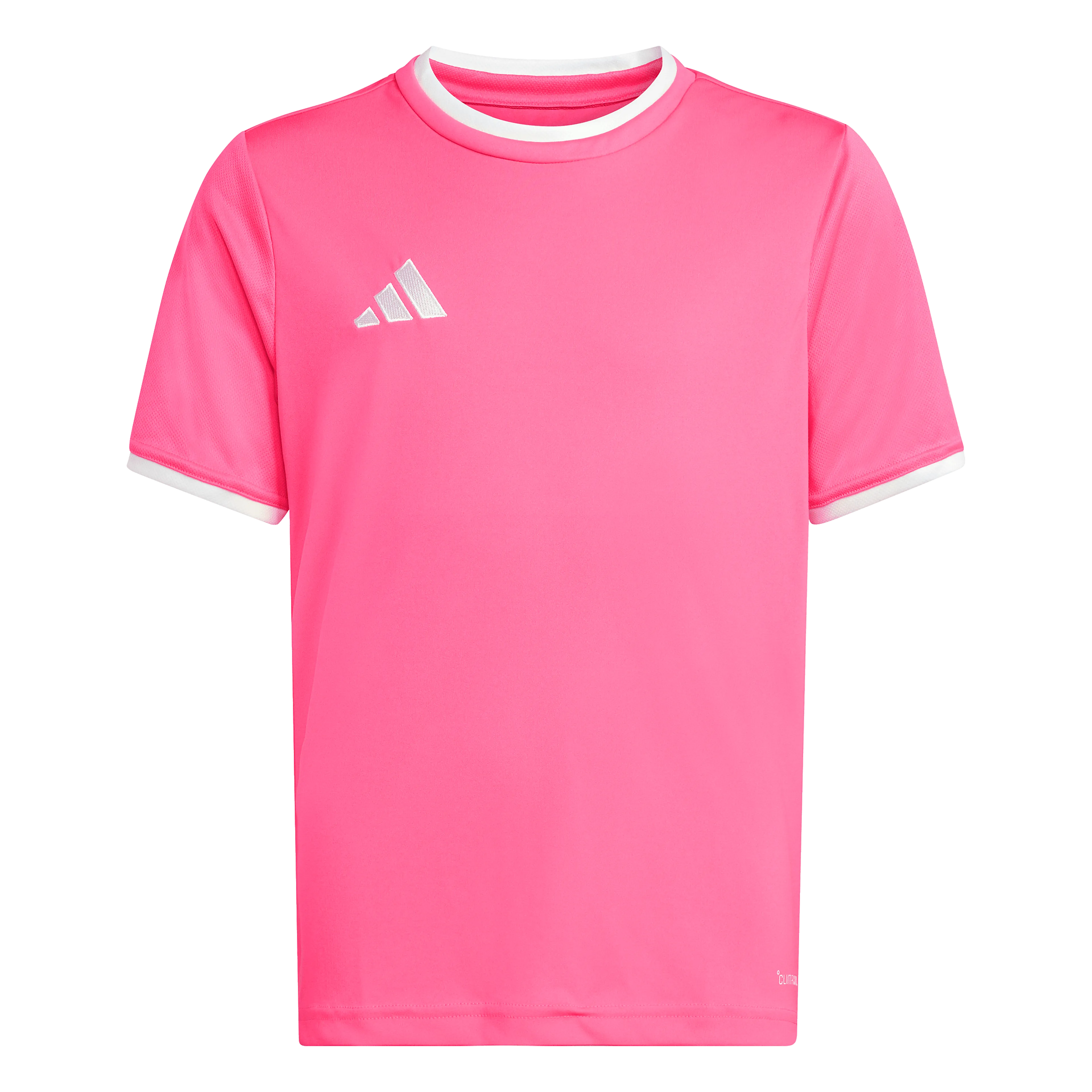 Entrada26 Jersey Junior  