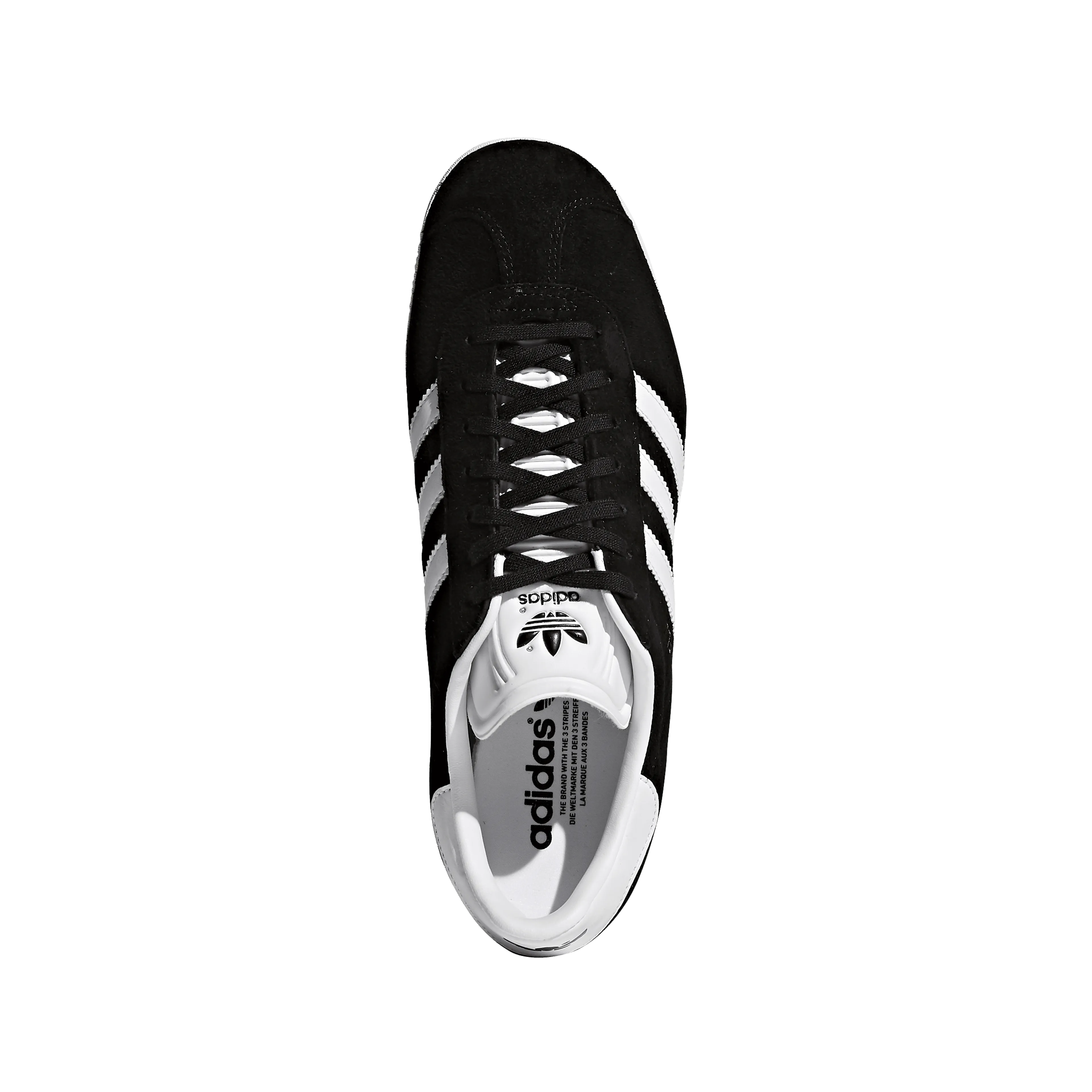 Gazelle