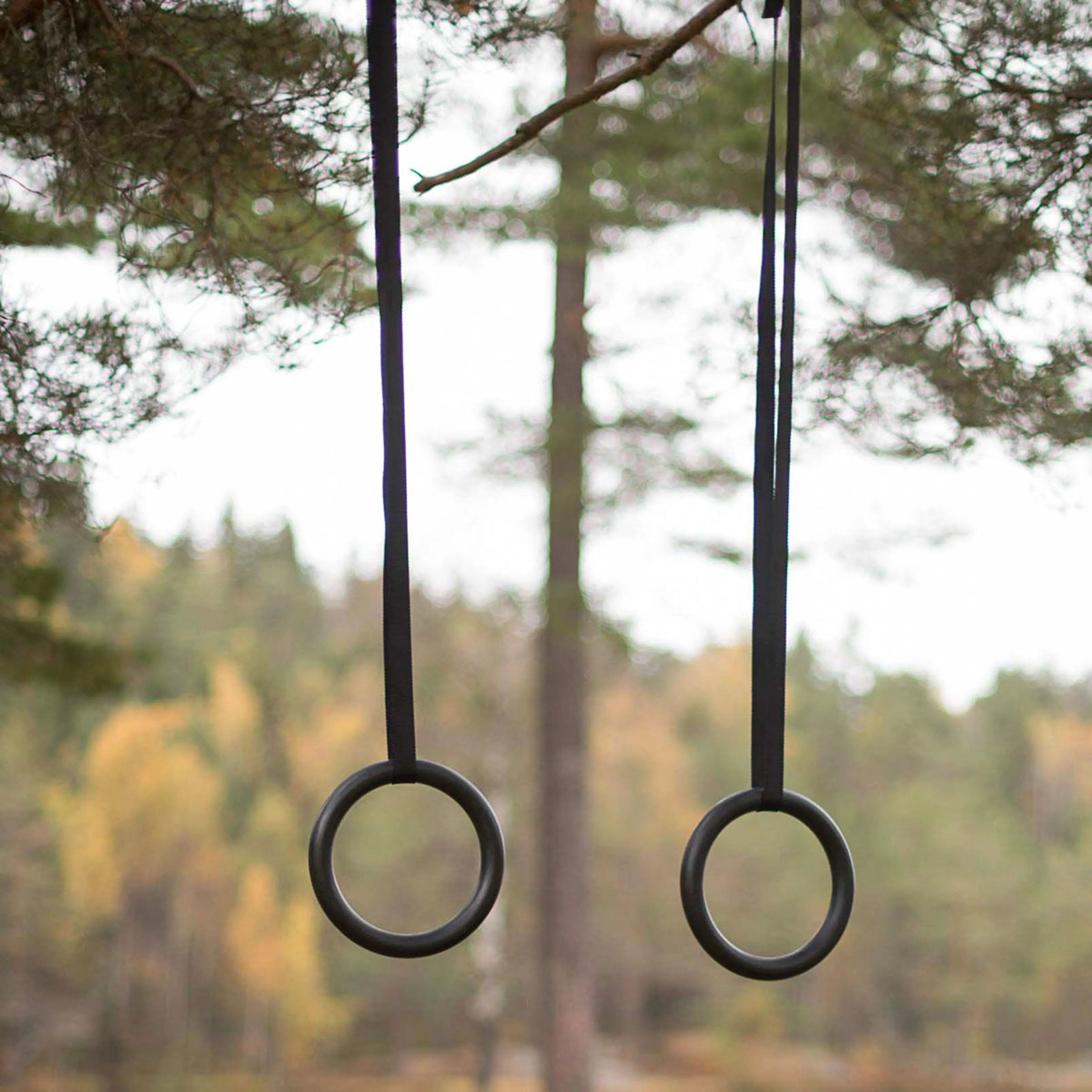 GymnasticRings