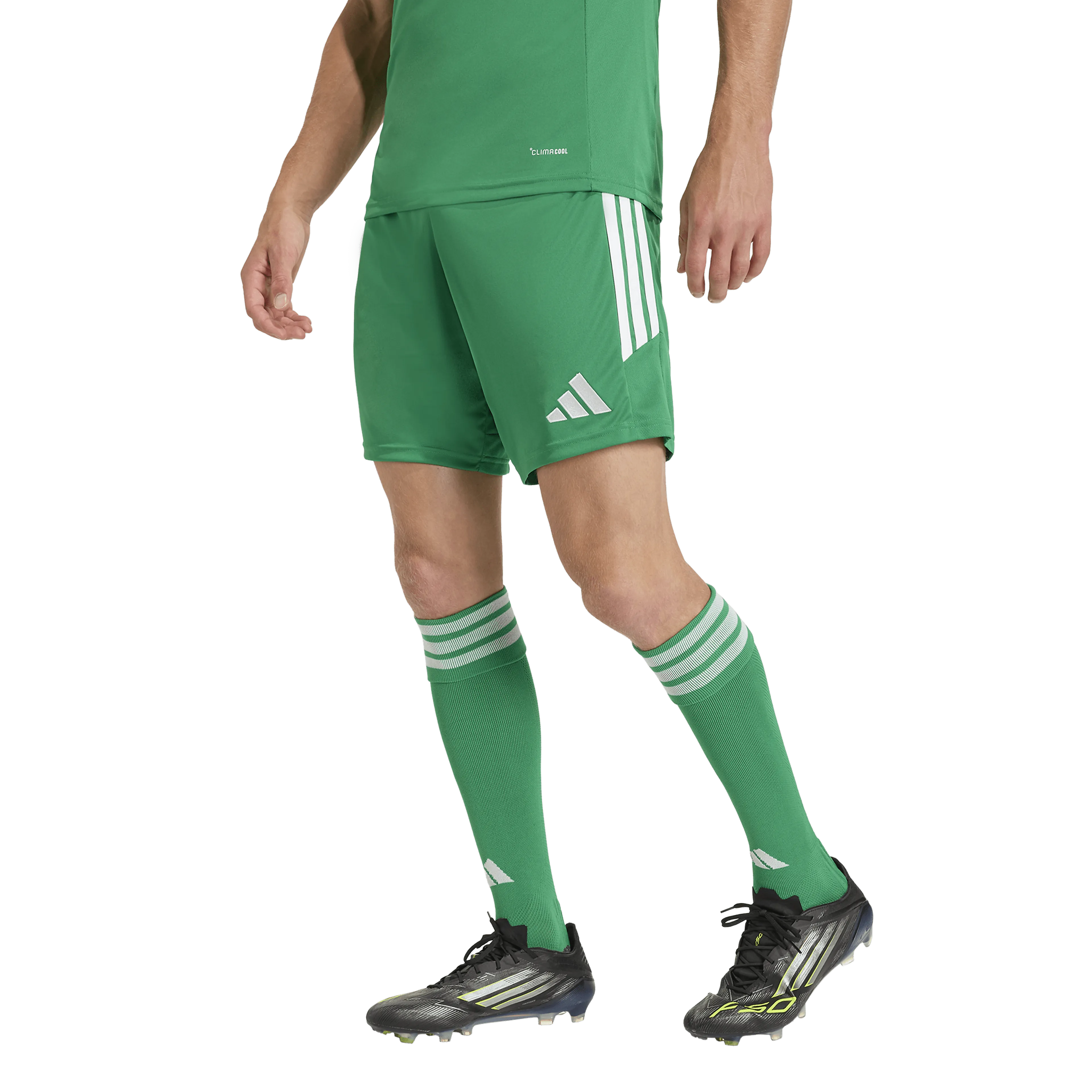 Tiro26 League Shorts  