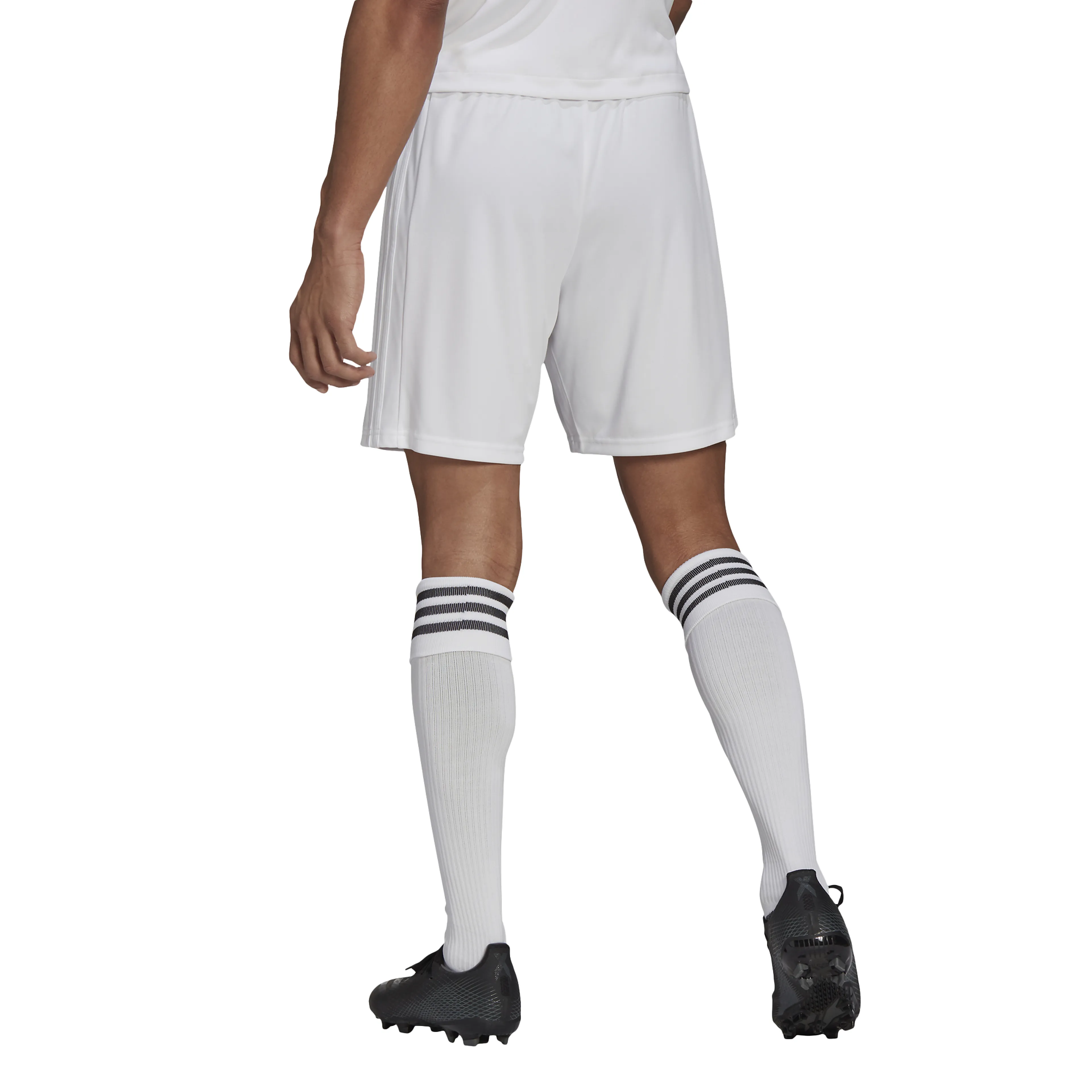 Squadra 21 shorts herre