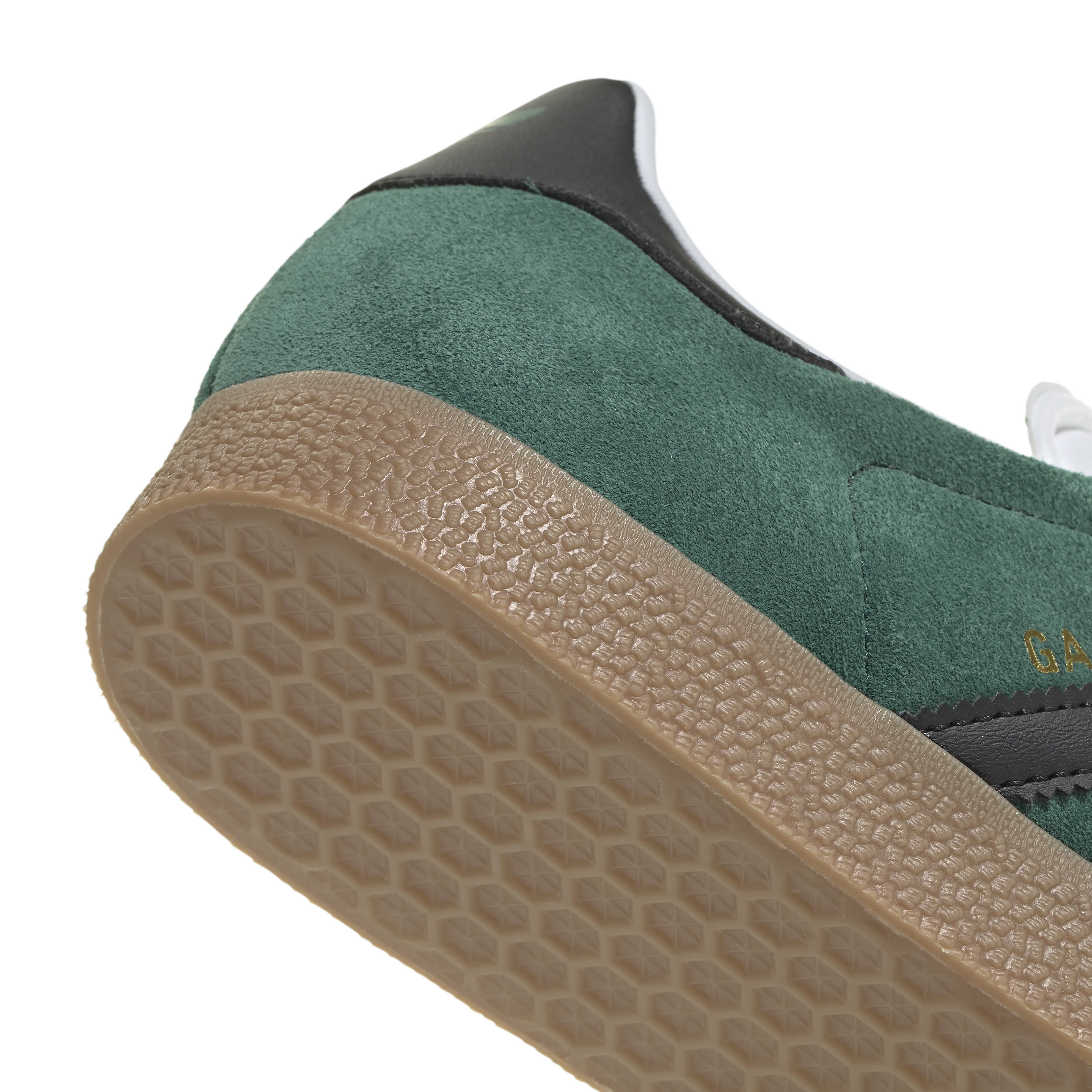Gazelle