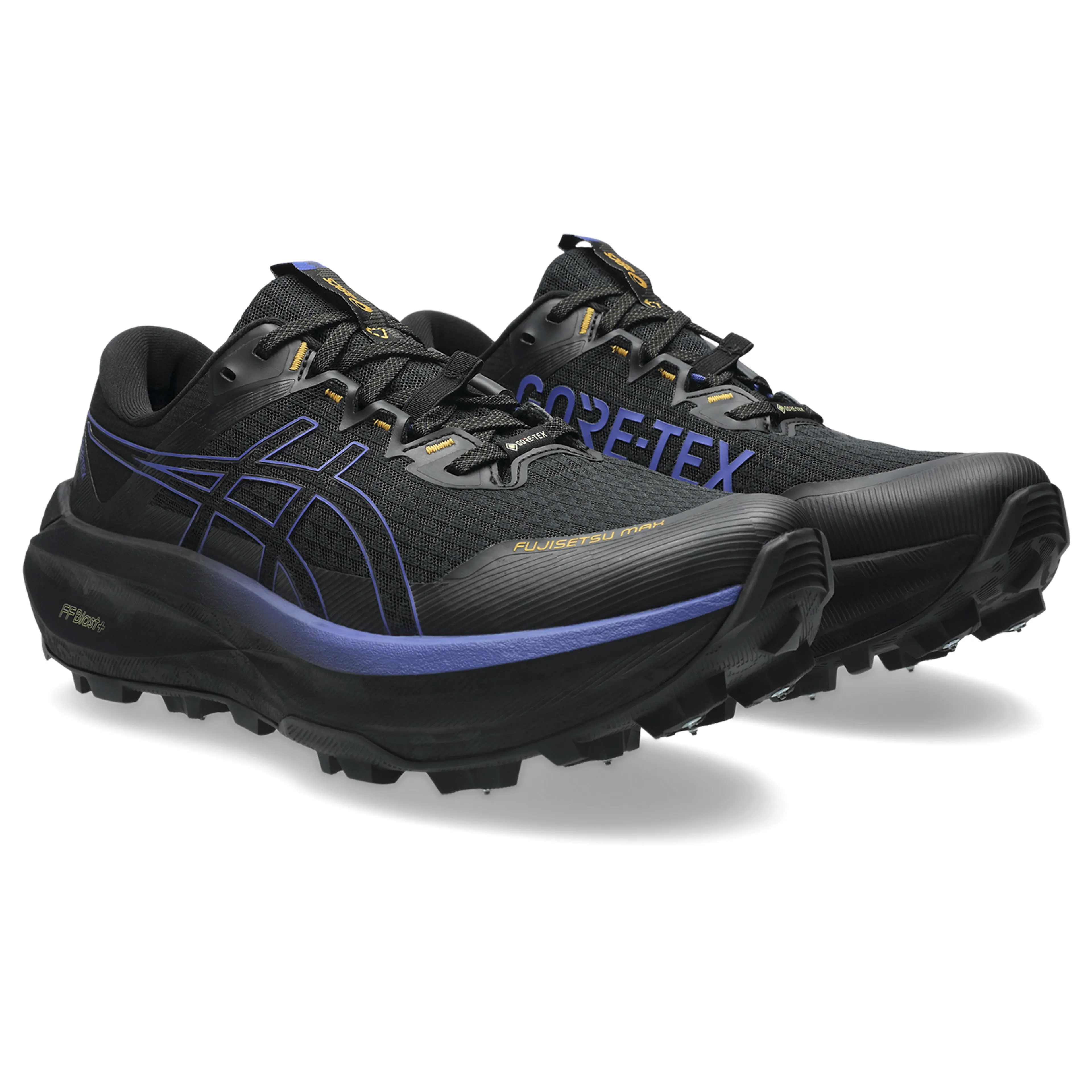 FUJISETSU MAX GTX