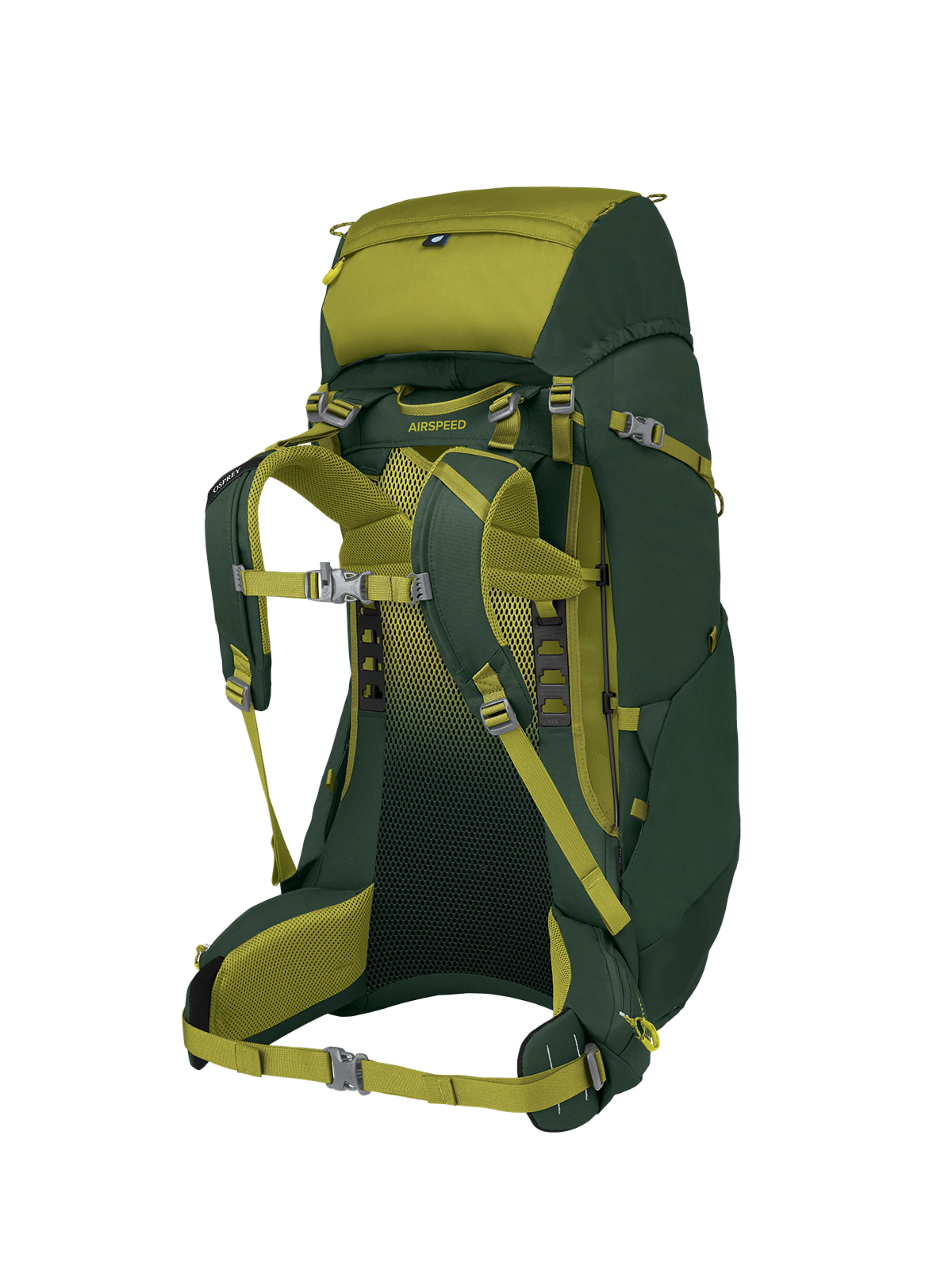 Ace 50