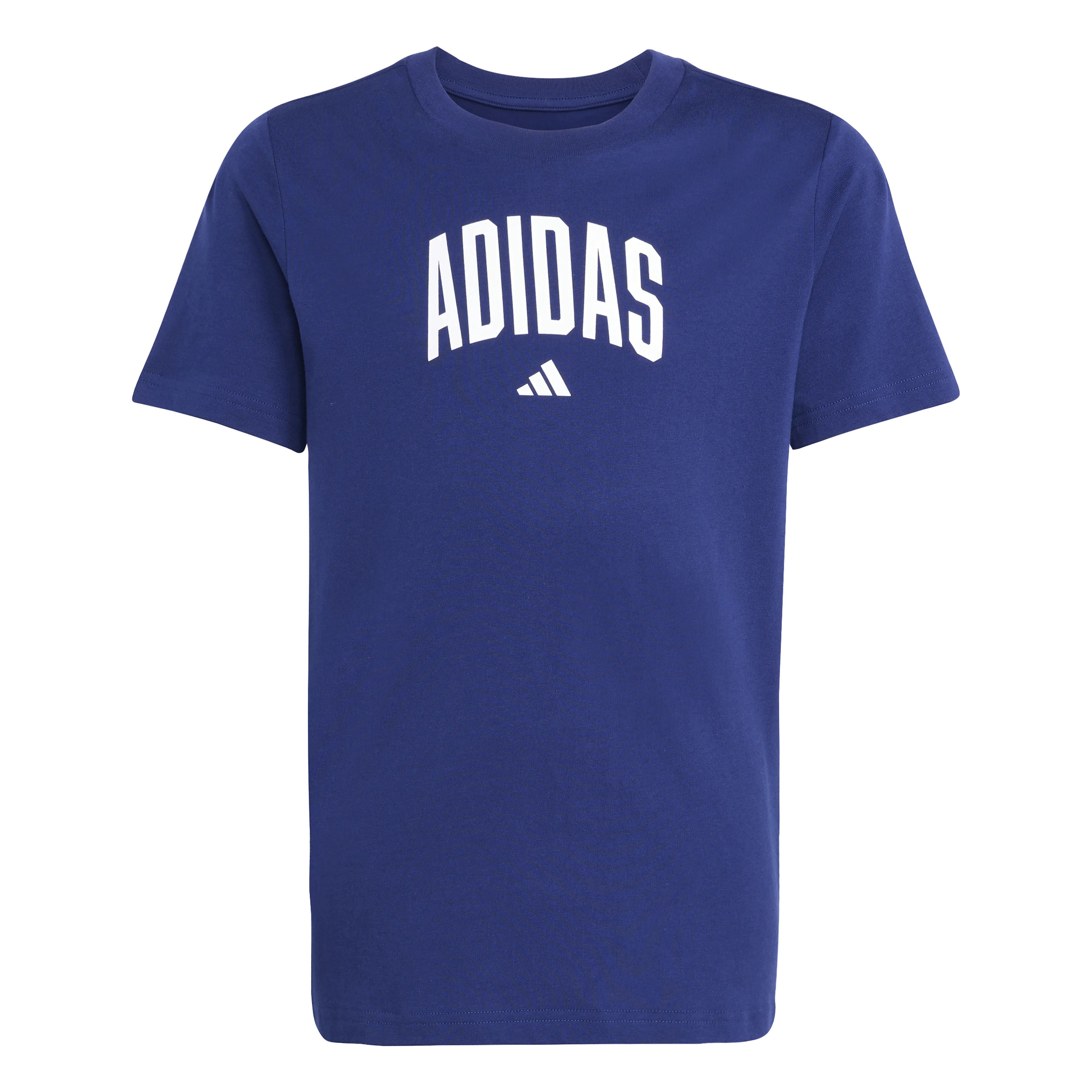 Collegiate Graphic T-Skjorte Junior