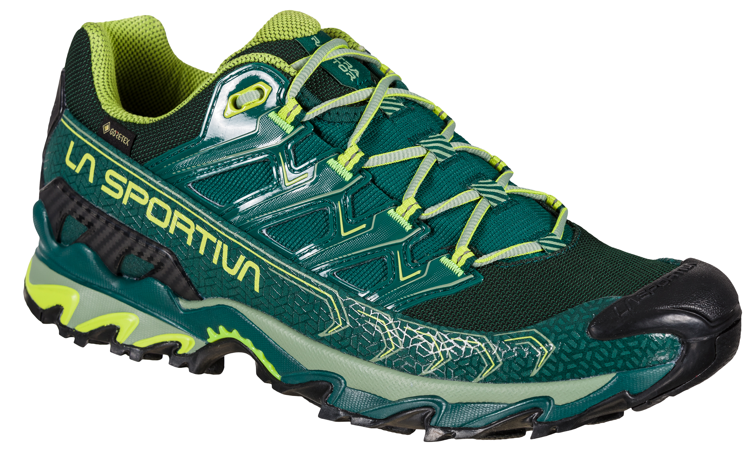 Ultra Raptor II GTX Hikingsko