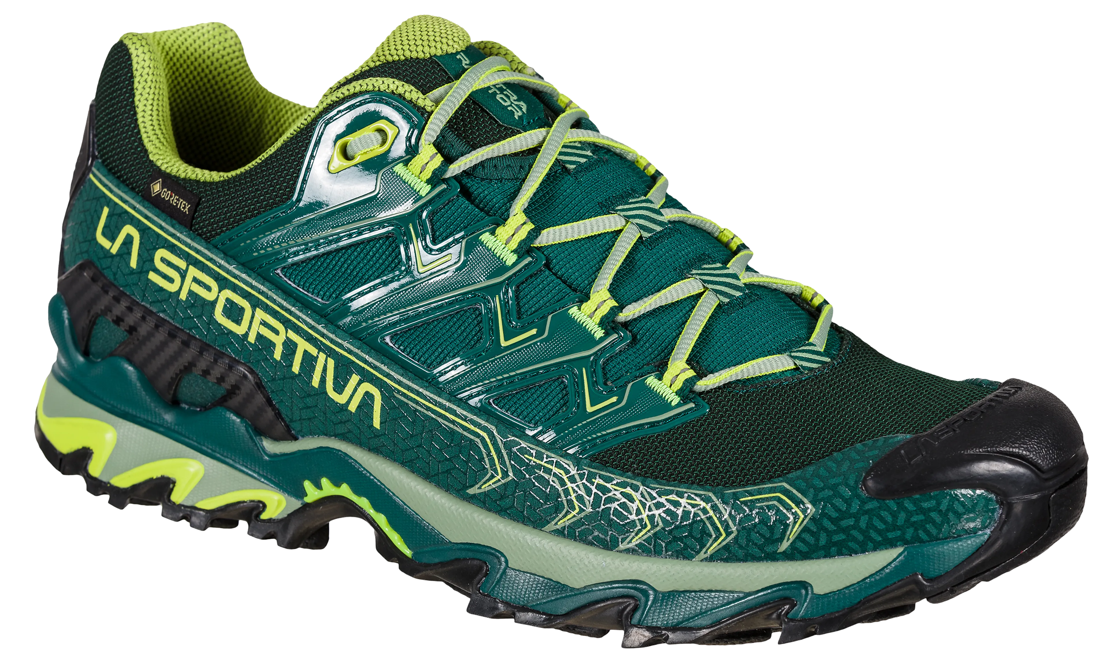 Ultra Raptor II GTX Hikingsko