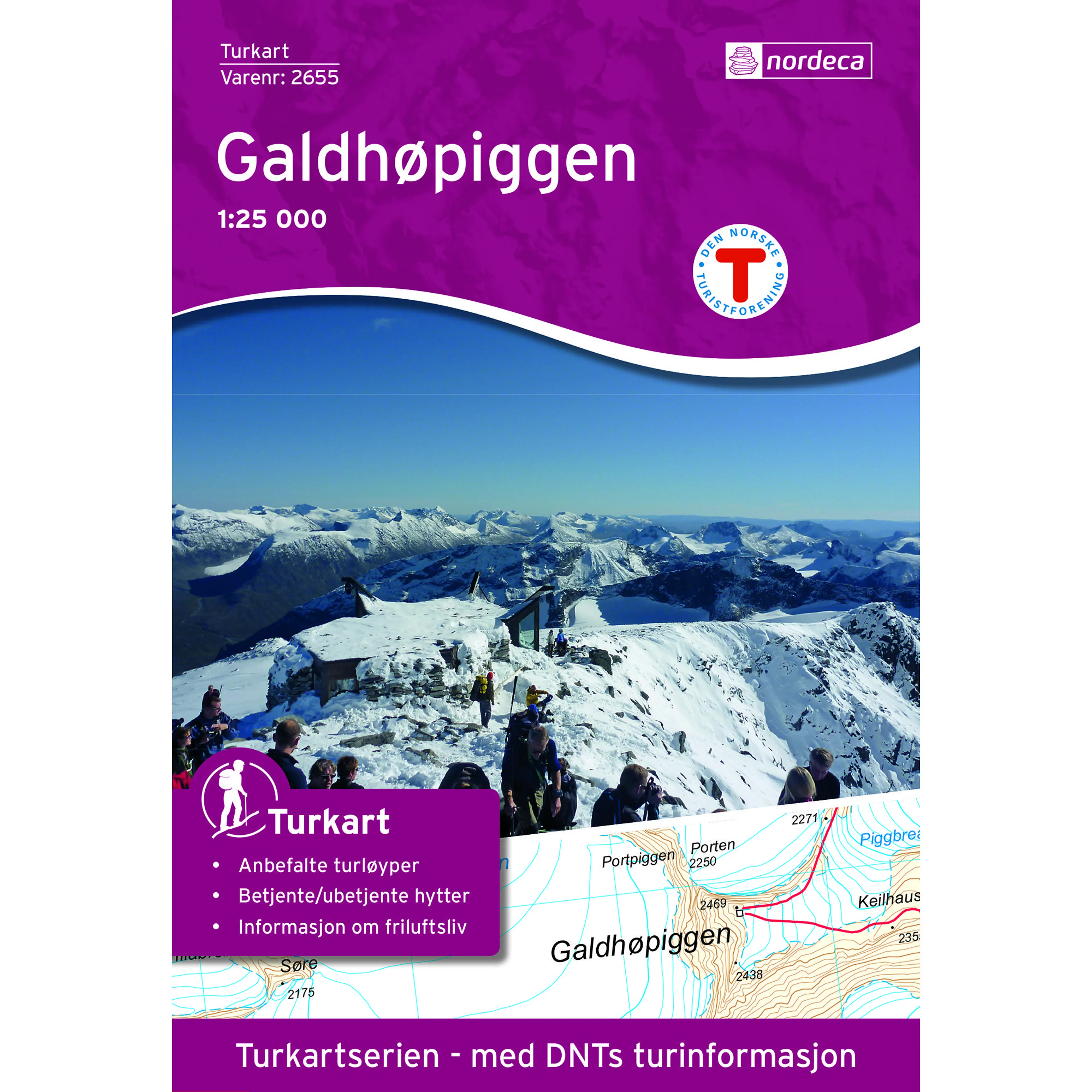 GALDHØPIGGEN 1:25 000