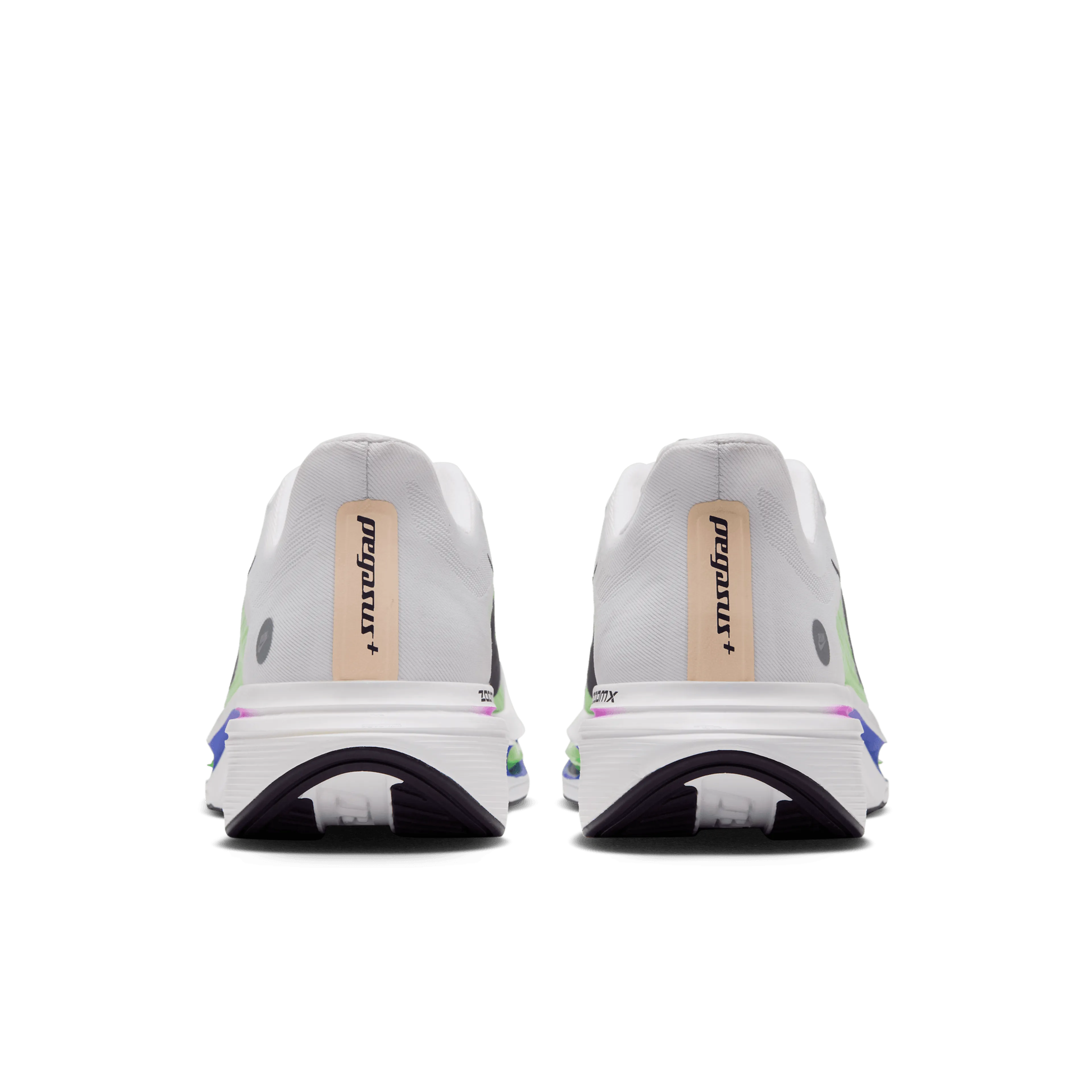 PEGASUS PLUS 2 RSG