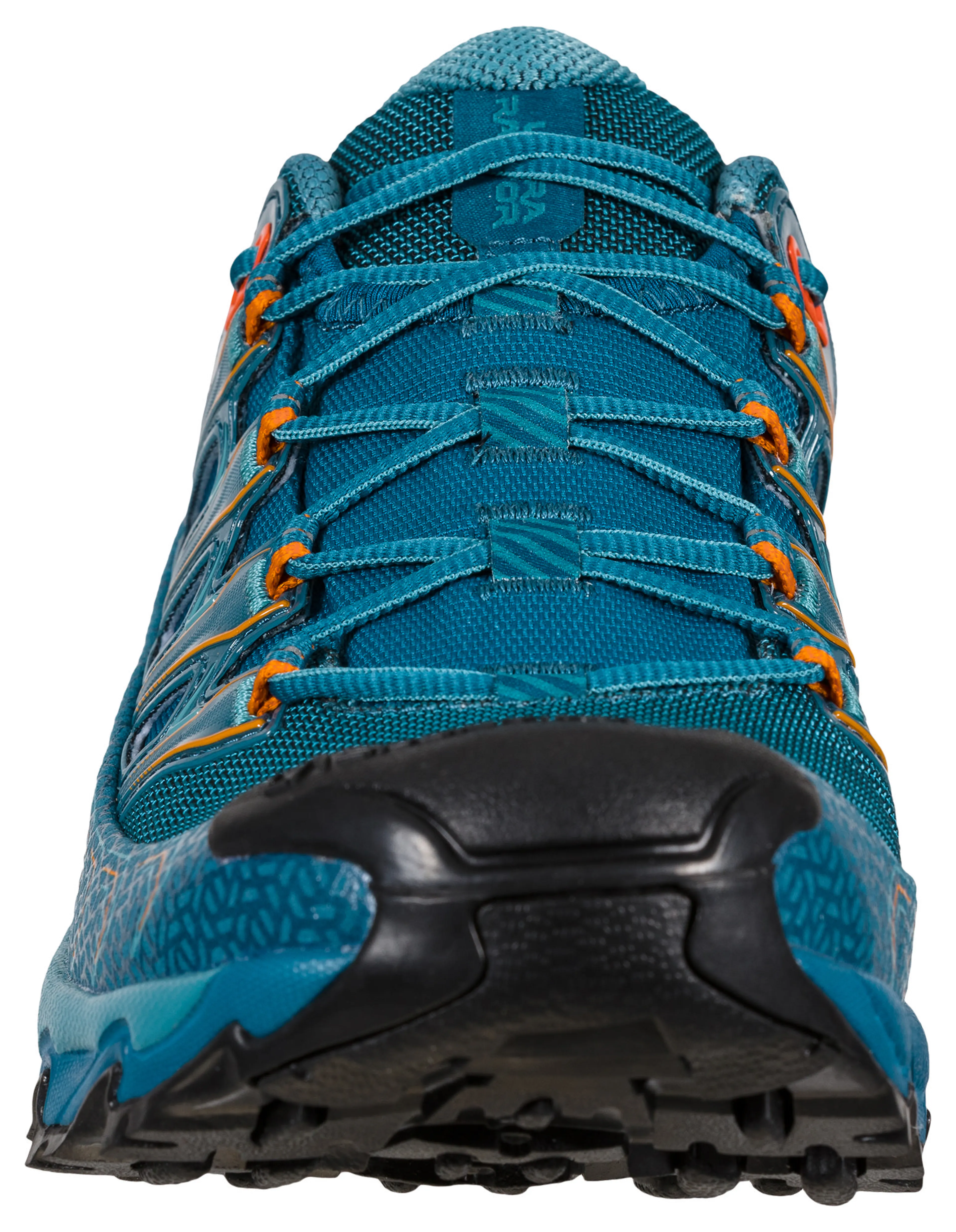 Ultra Raptor II GTX Hikingsko