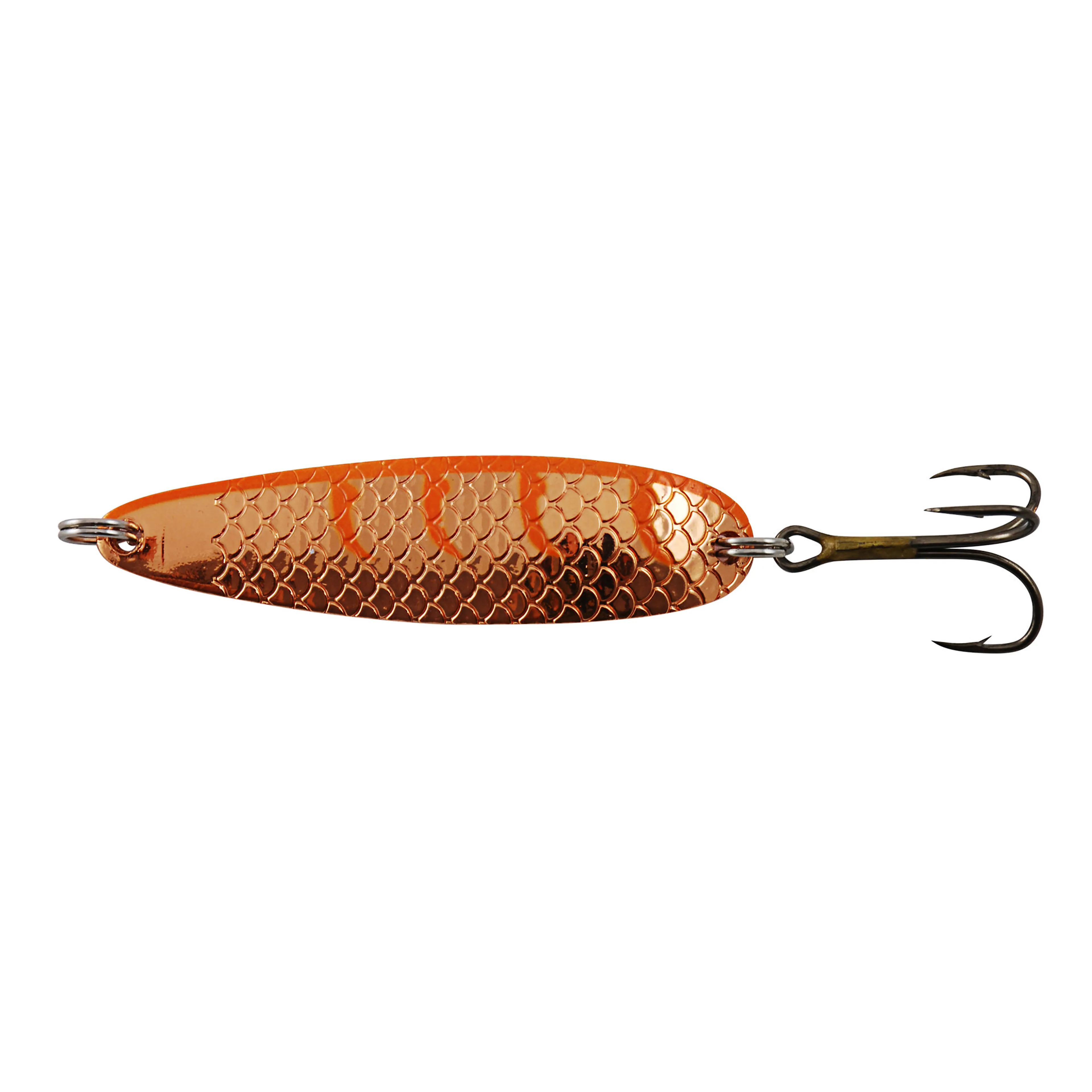 Buch Salmon