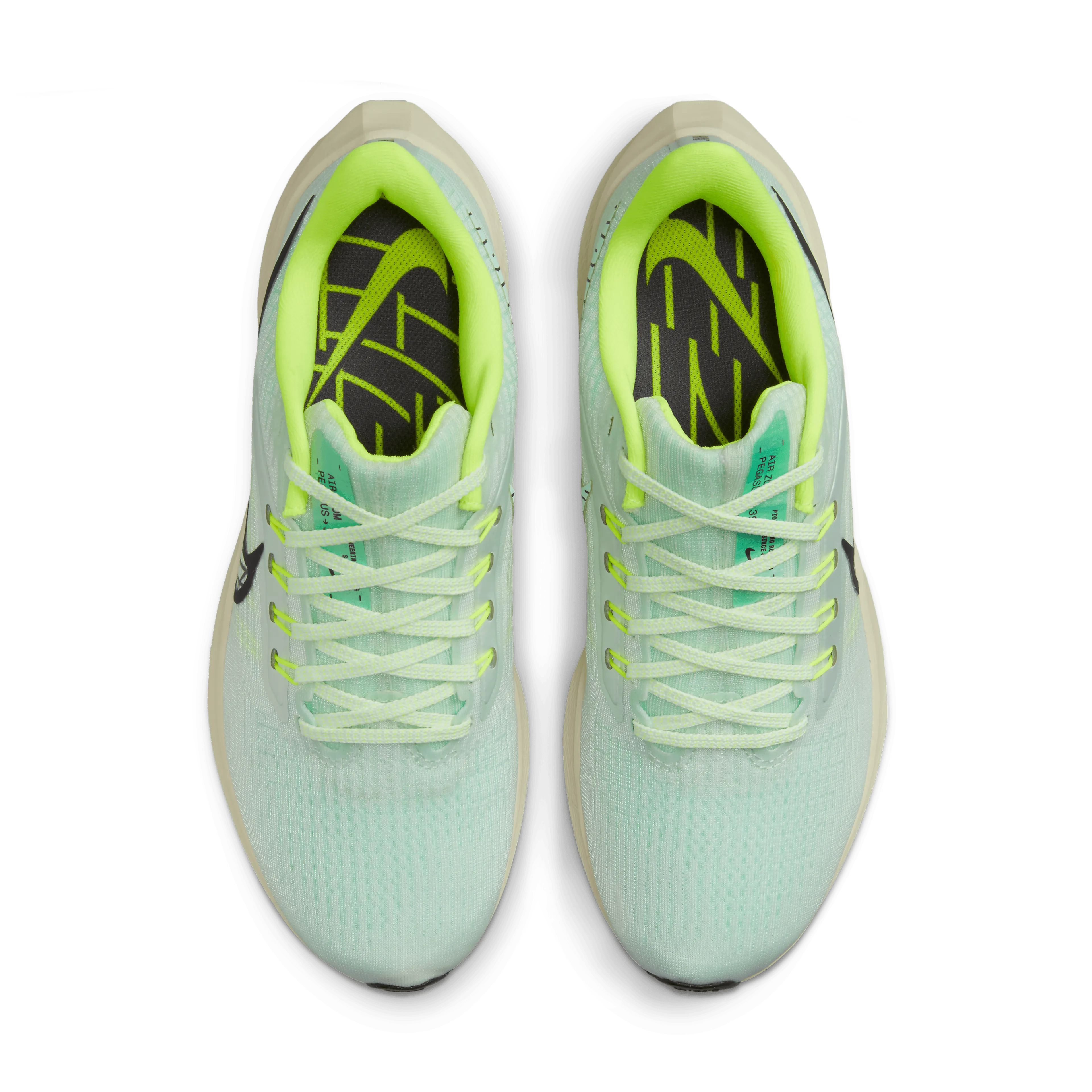 Air Zoom Pegasus 39