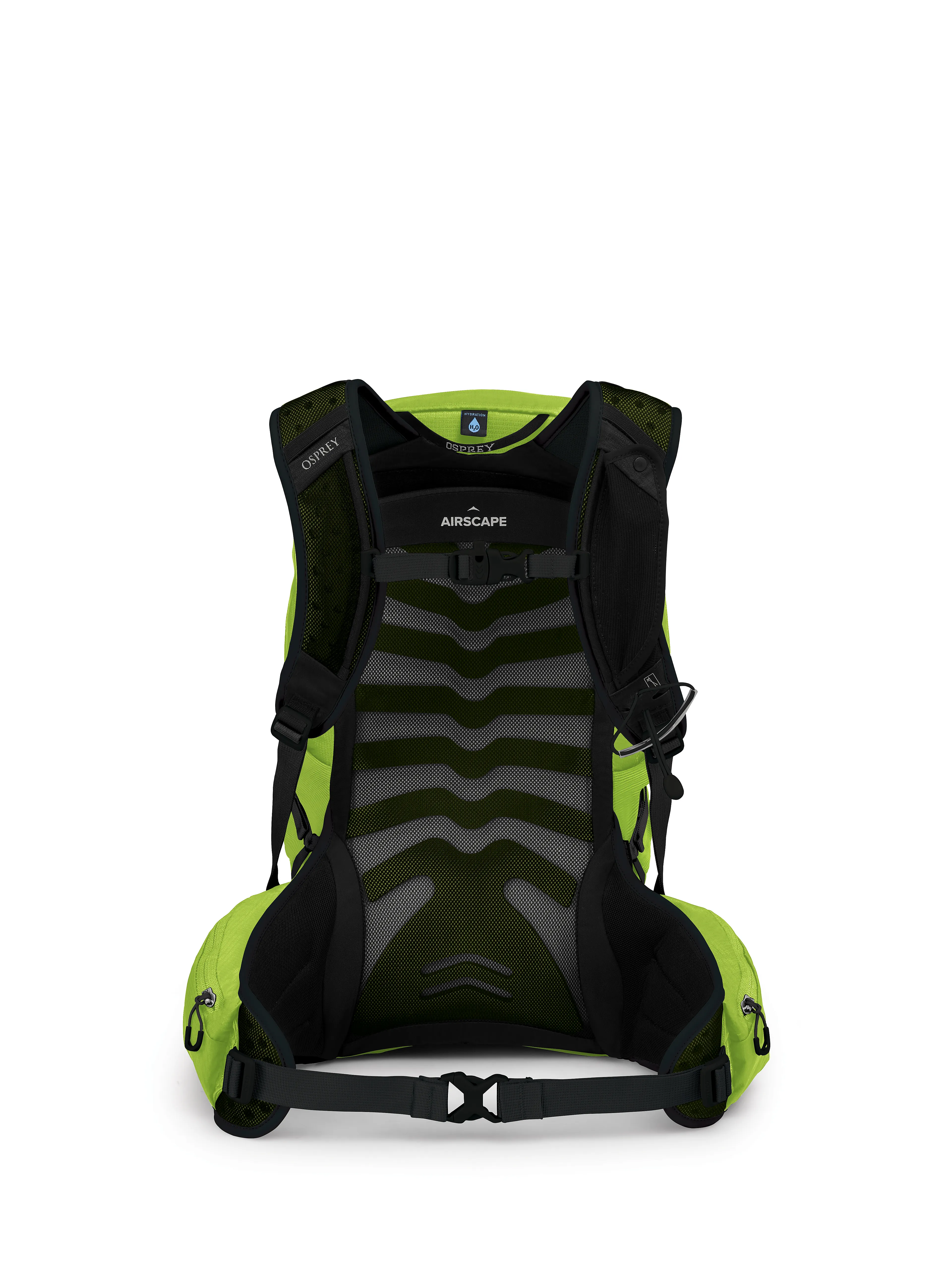 Talon 22