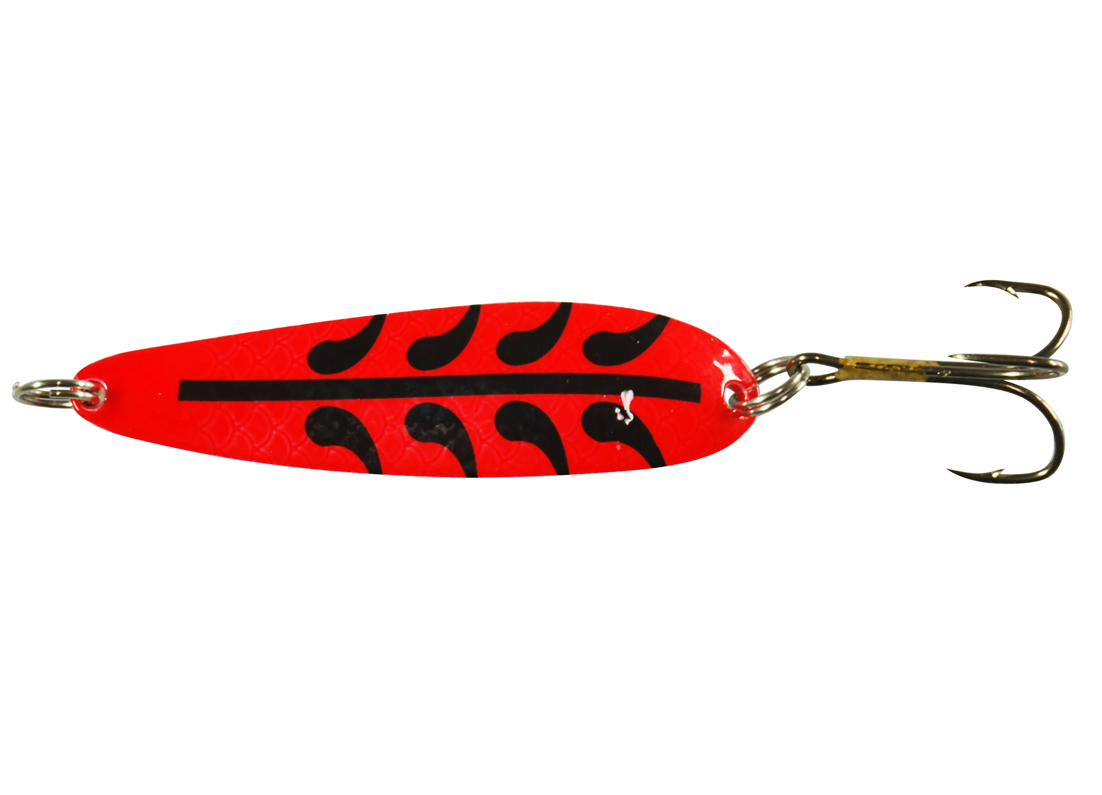 Salamander Trout