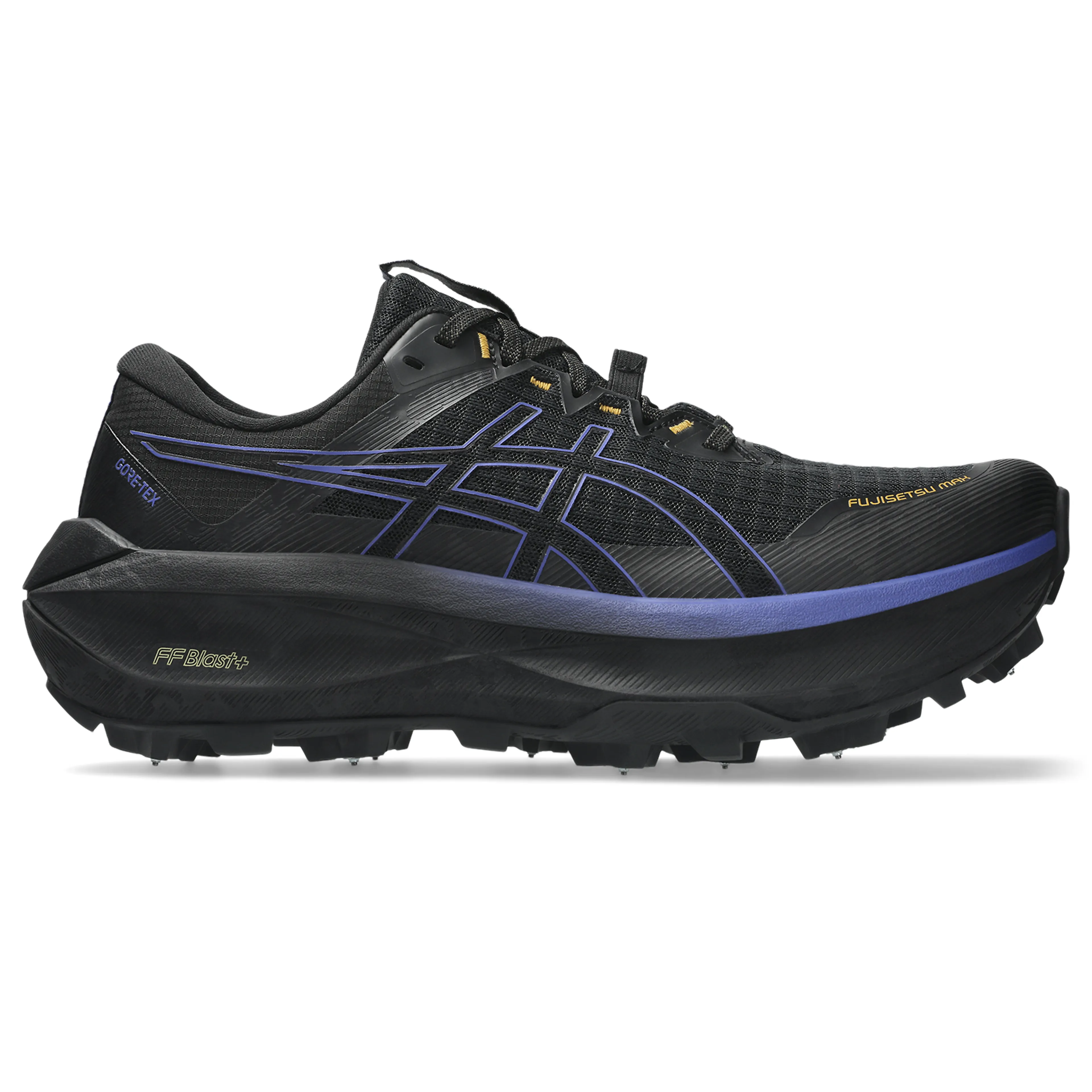FUJISETSU MAX GTX