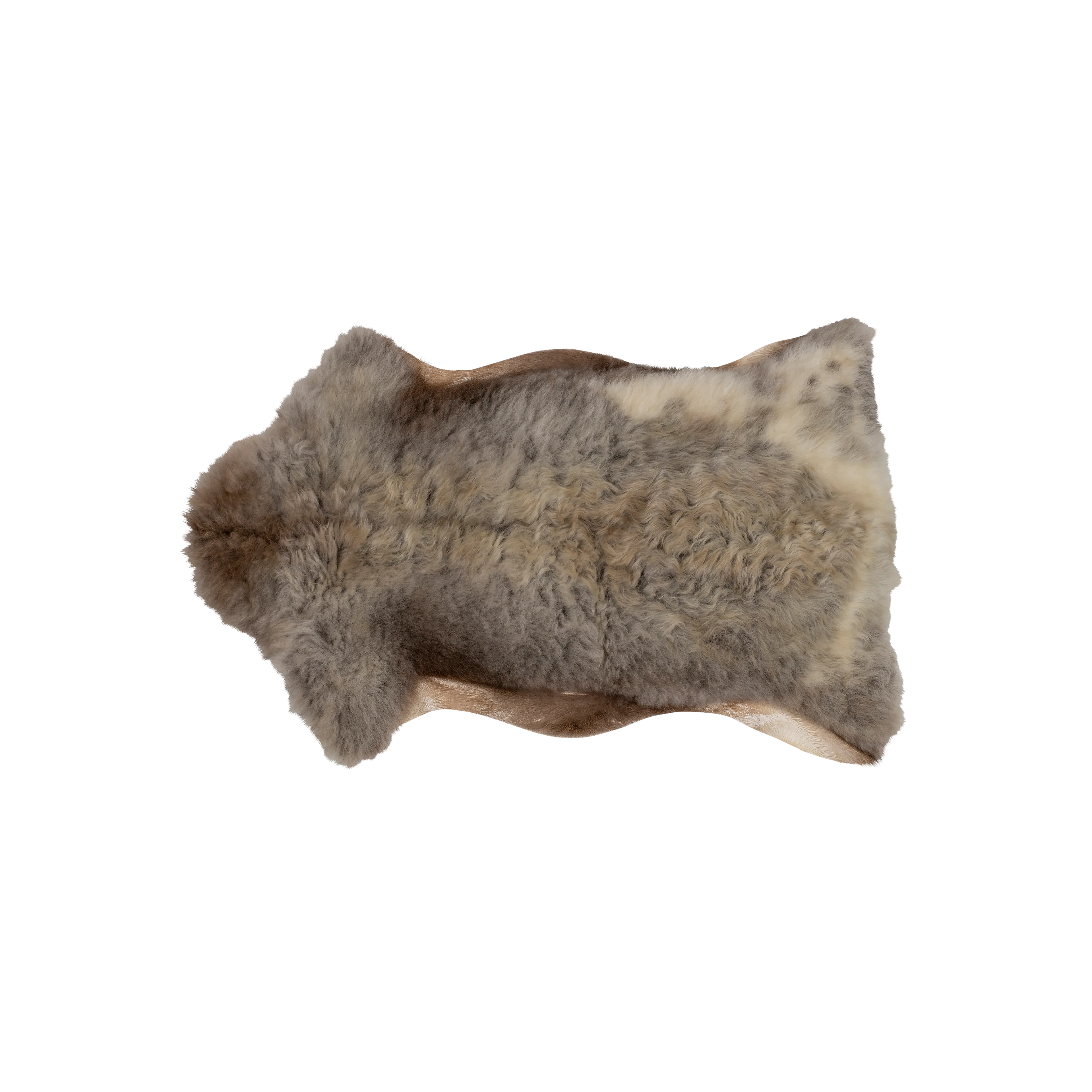 Lammeskinn Tibetansk Fjellsau