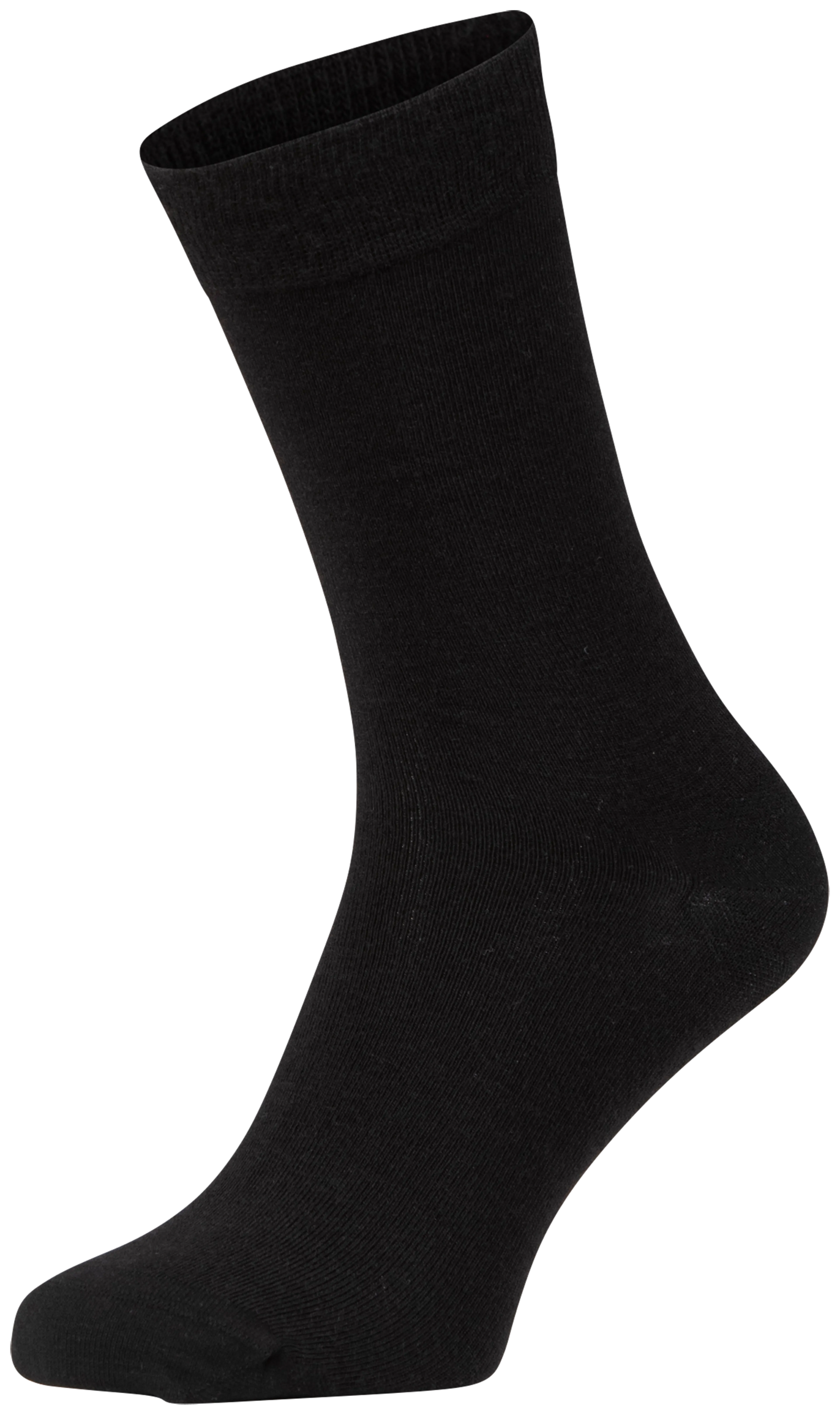 Essentials Light Merino Sock 3pk