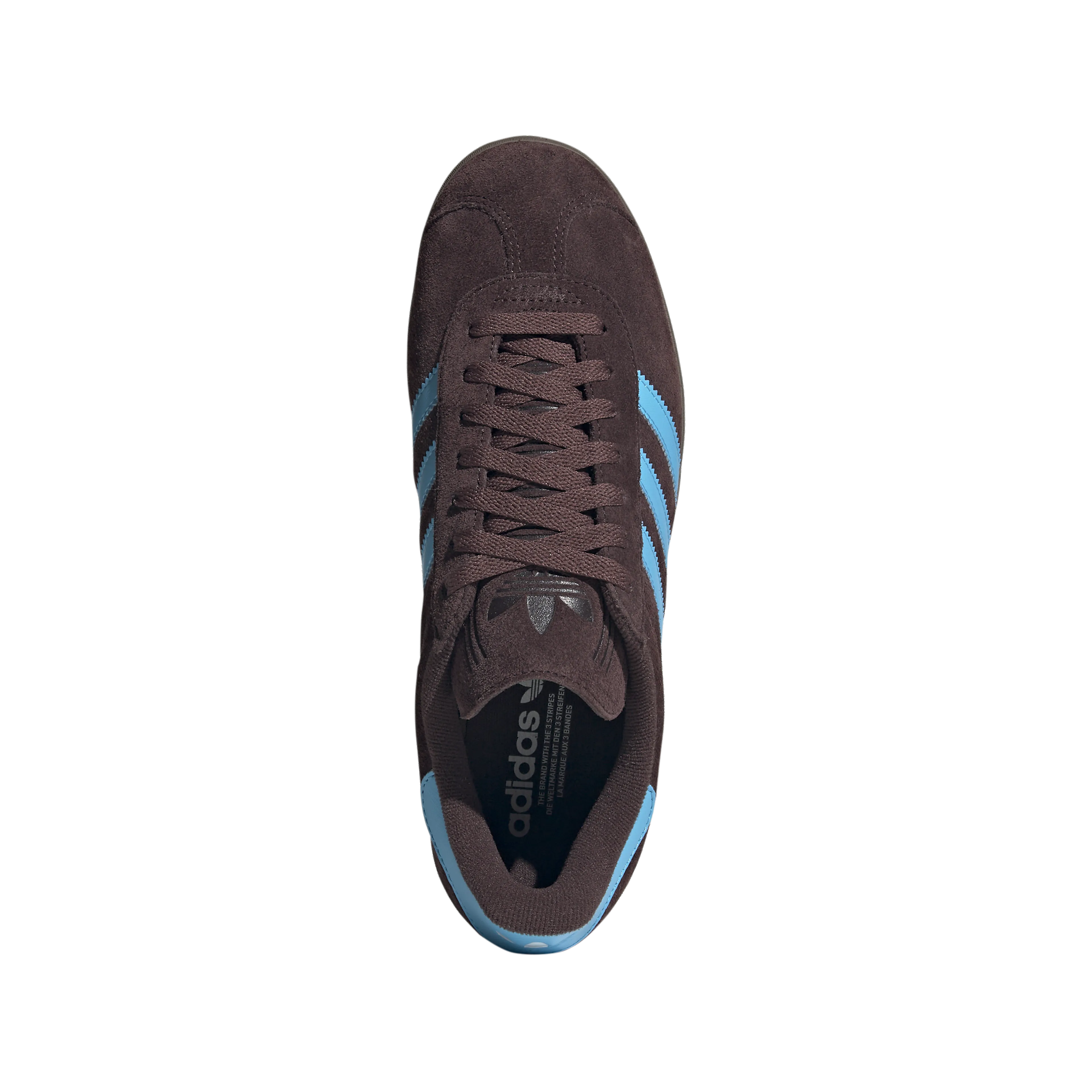 Gazelle