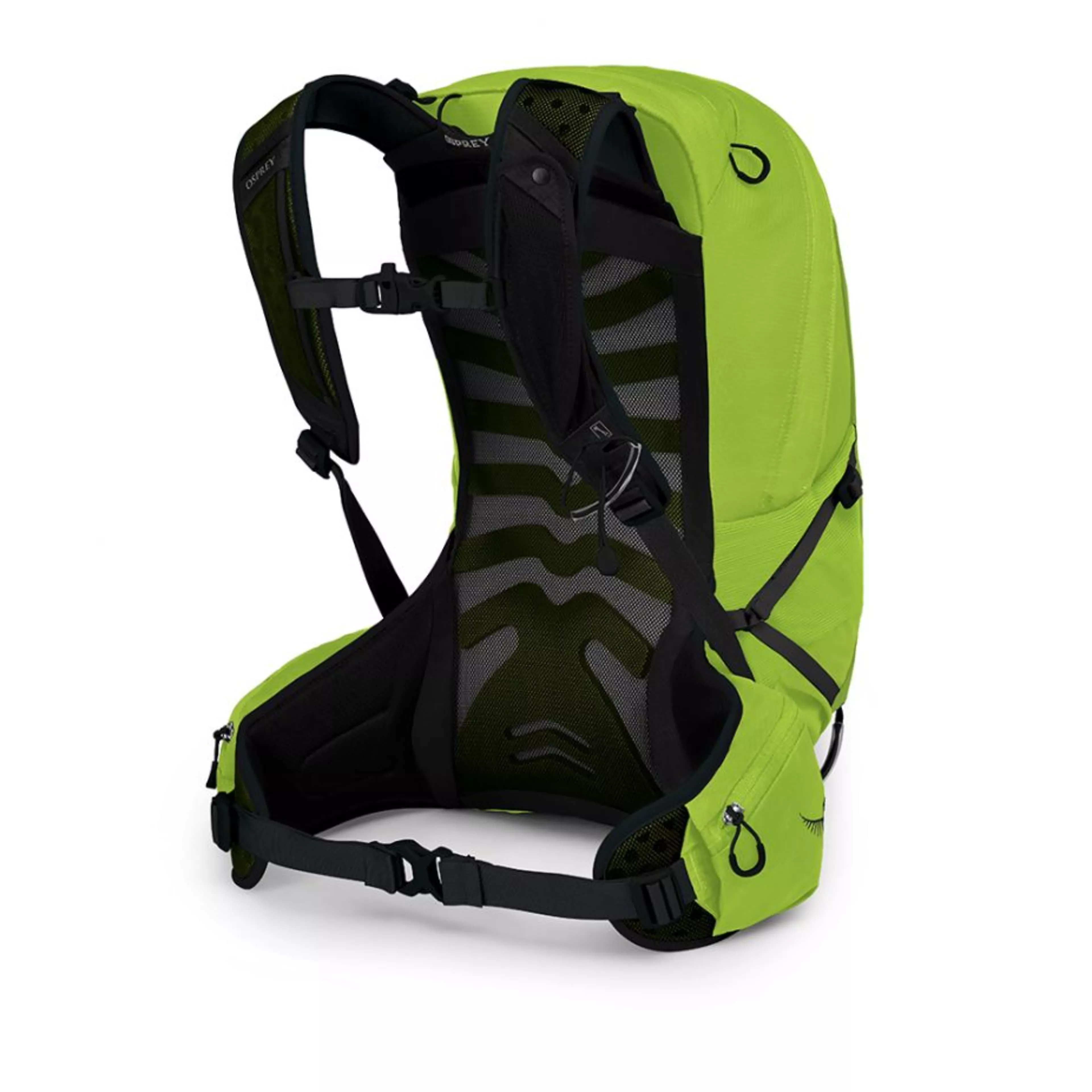 Talon 22