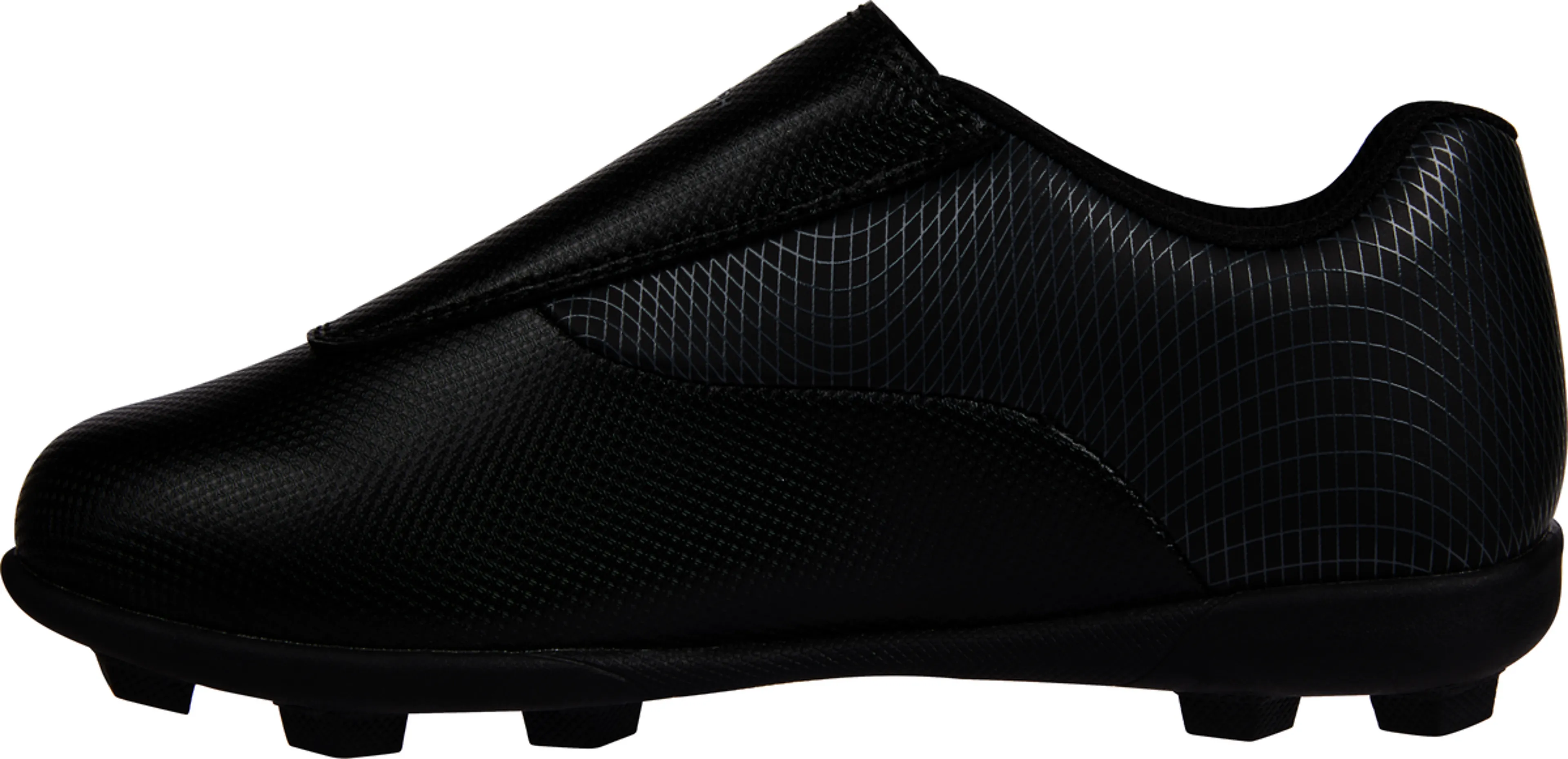 PT Evolution MxG VLC J