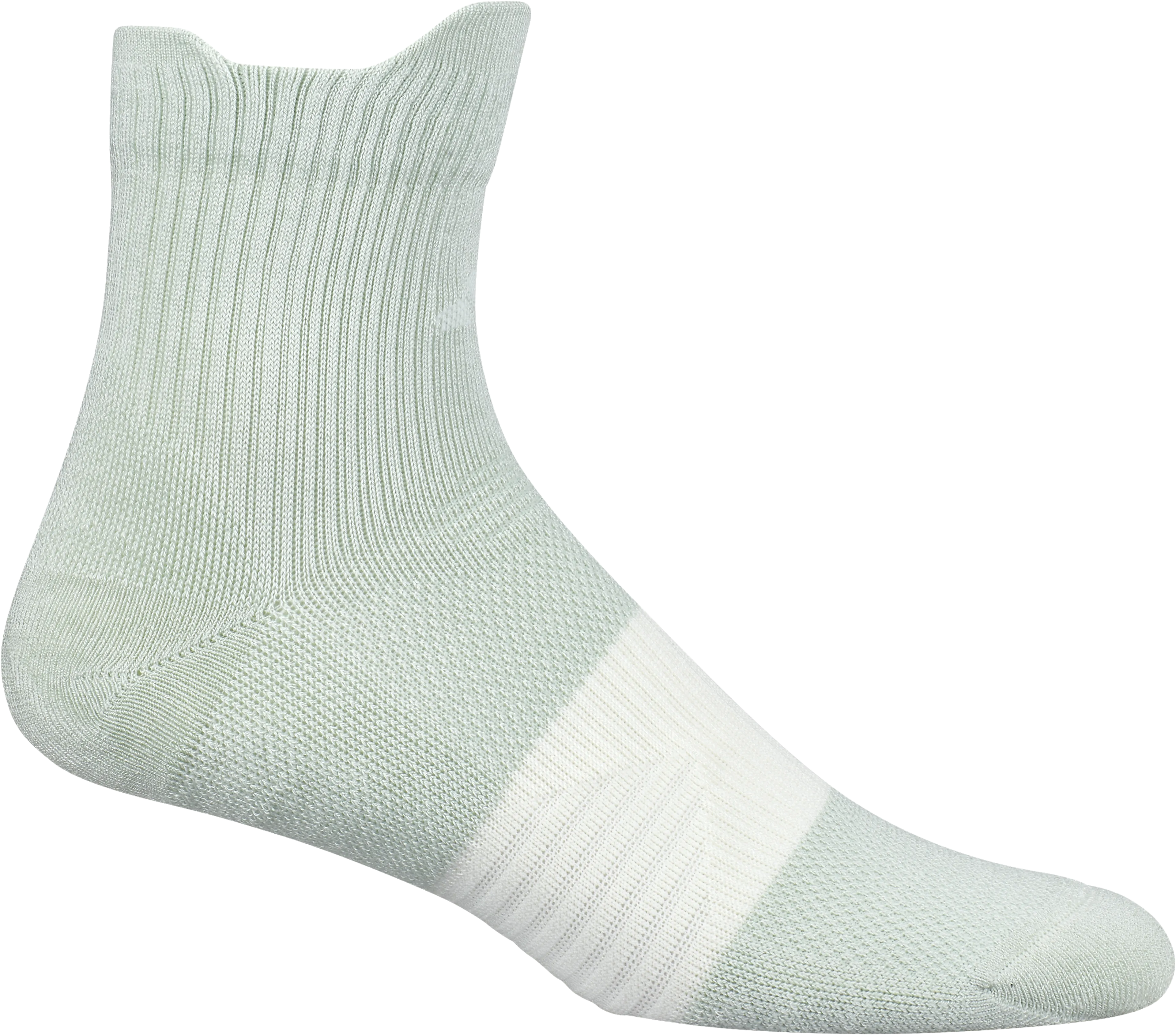 RunXSPNV Sock