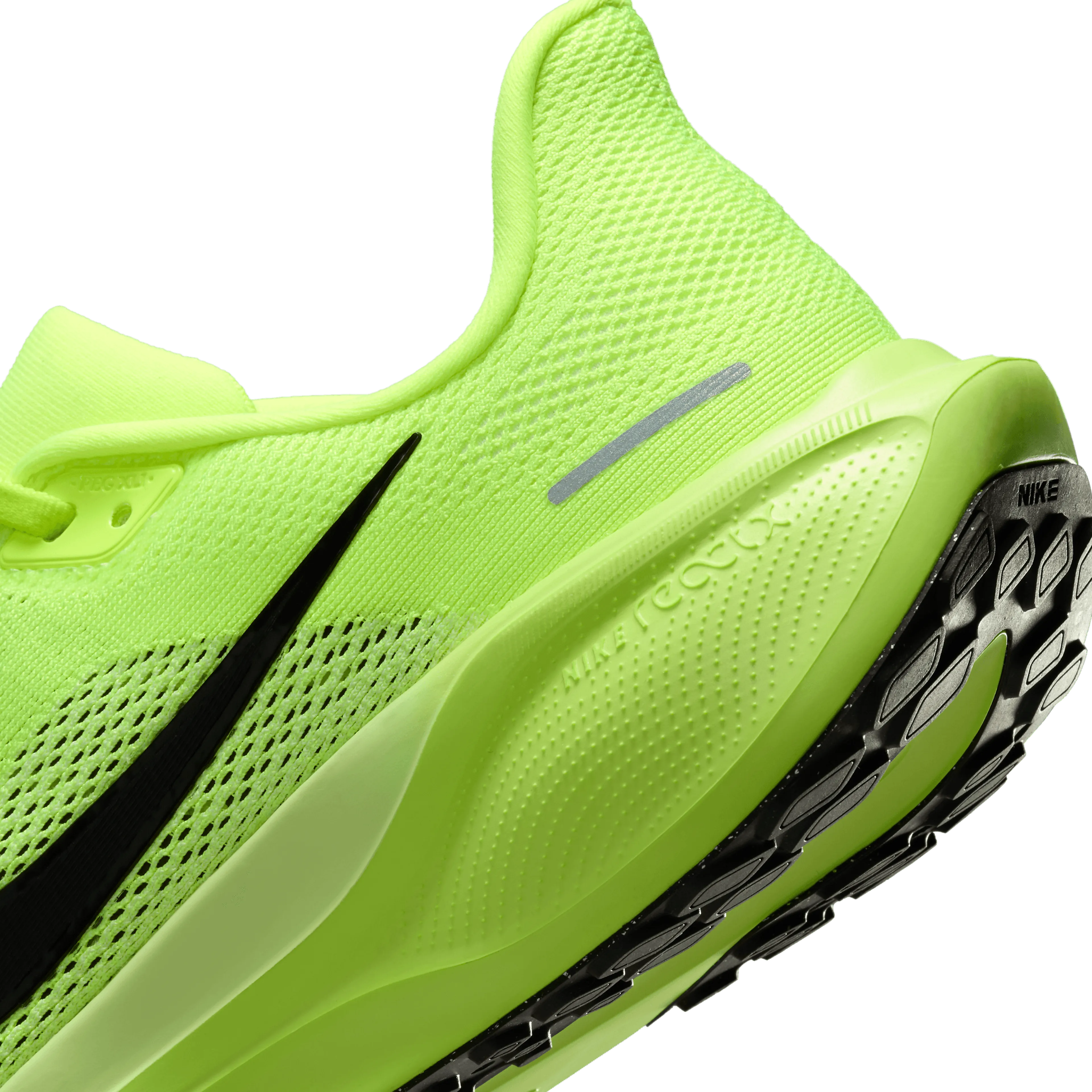  Pegasus 41