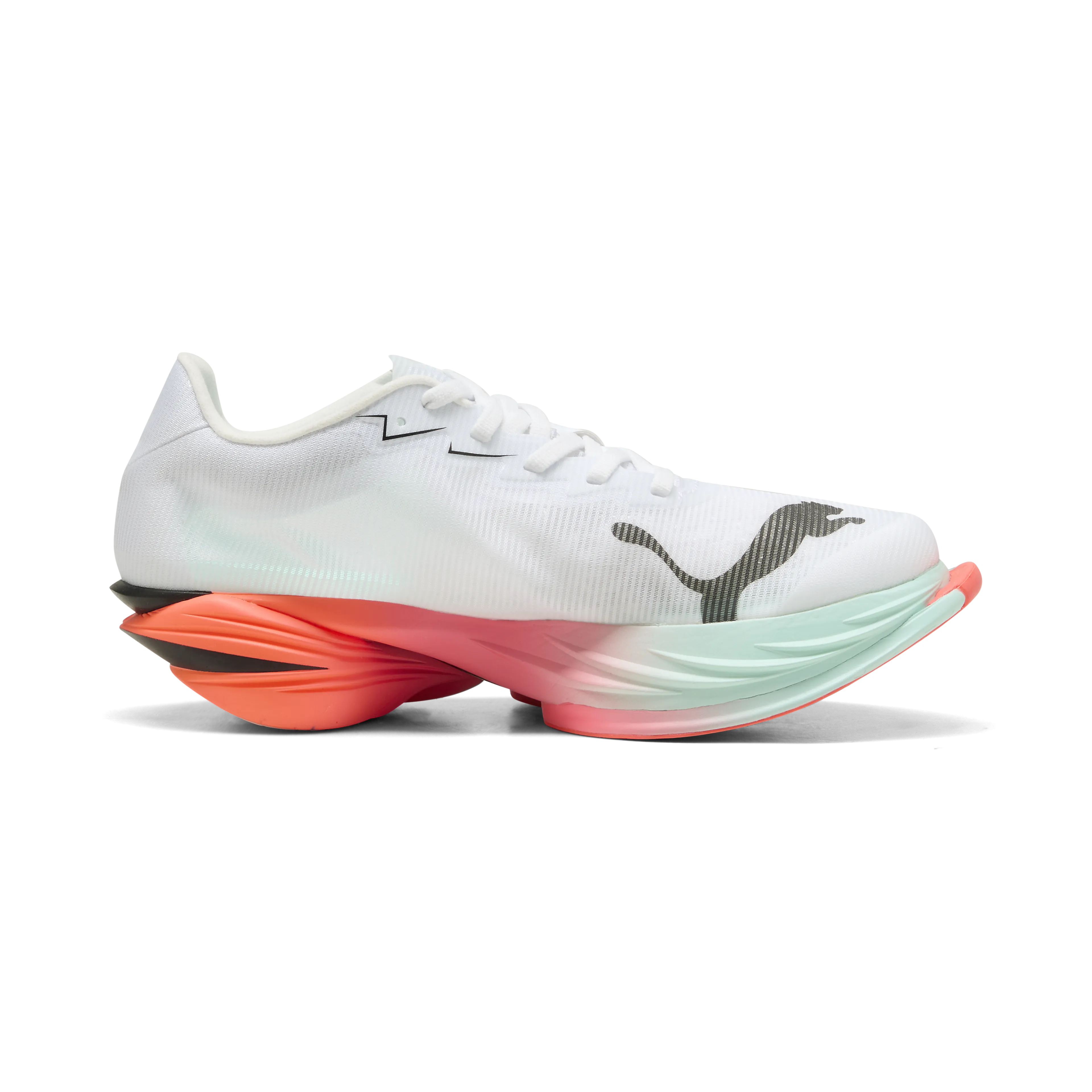 Fast-R Nitro Elite 3