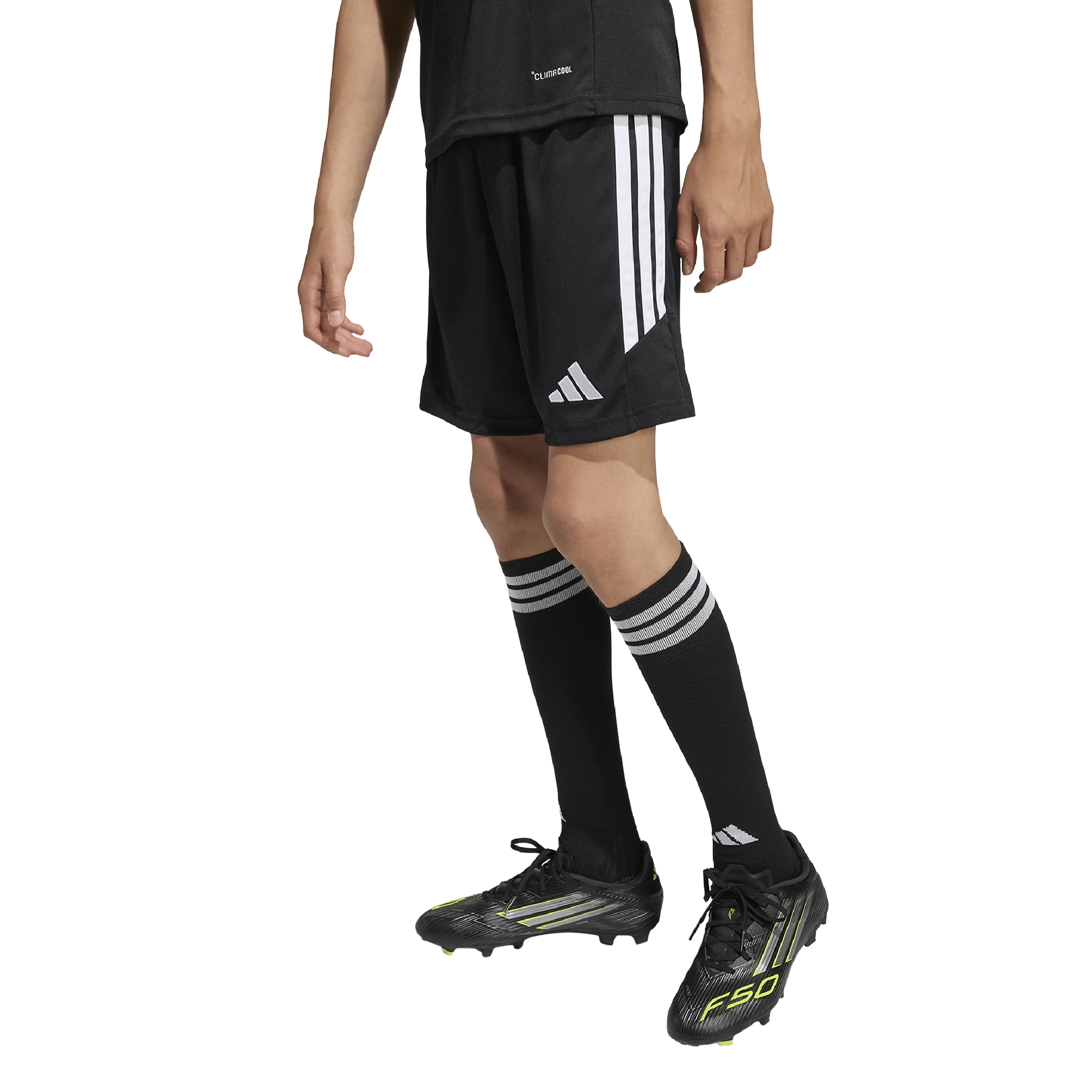 Tiro26 League Kids Shorts  