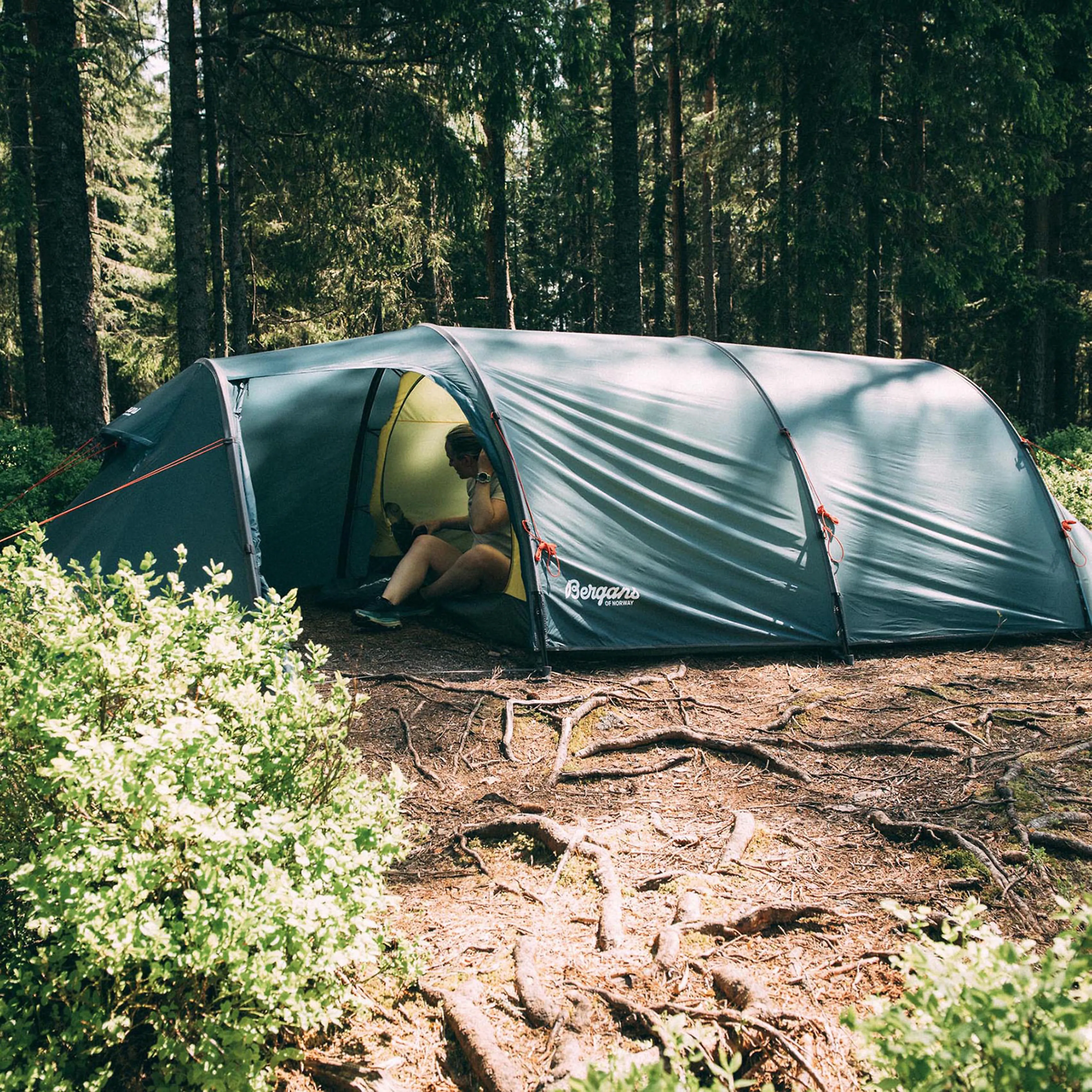 Trollhetta Tunnel 4-Pers Tent