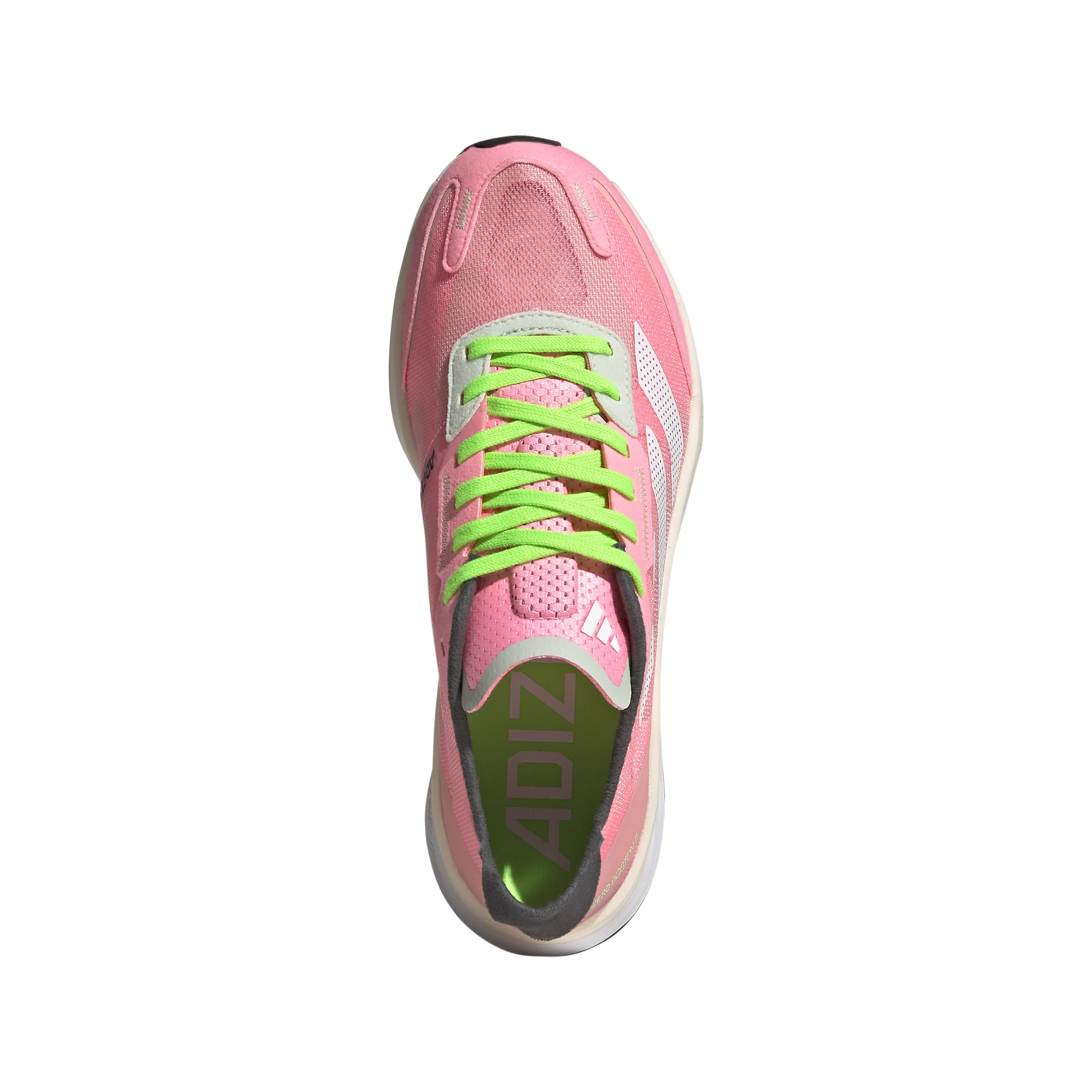 Adizero Boston 11, dame