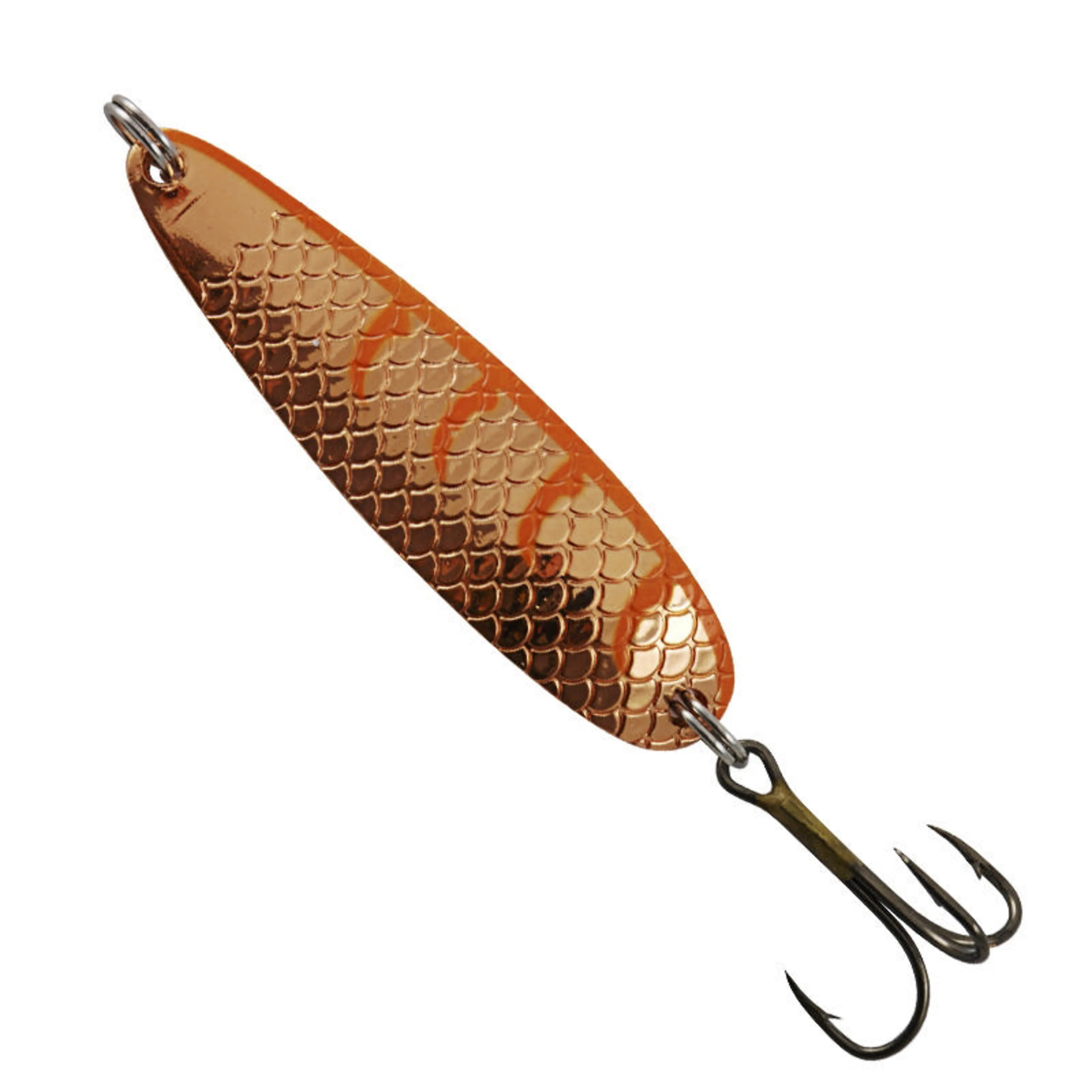 Buch Salmon