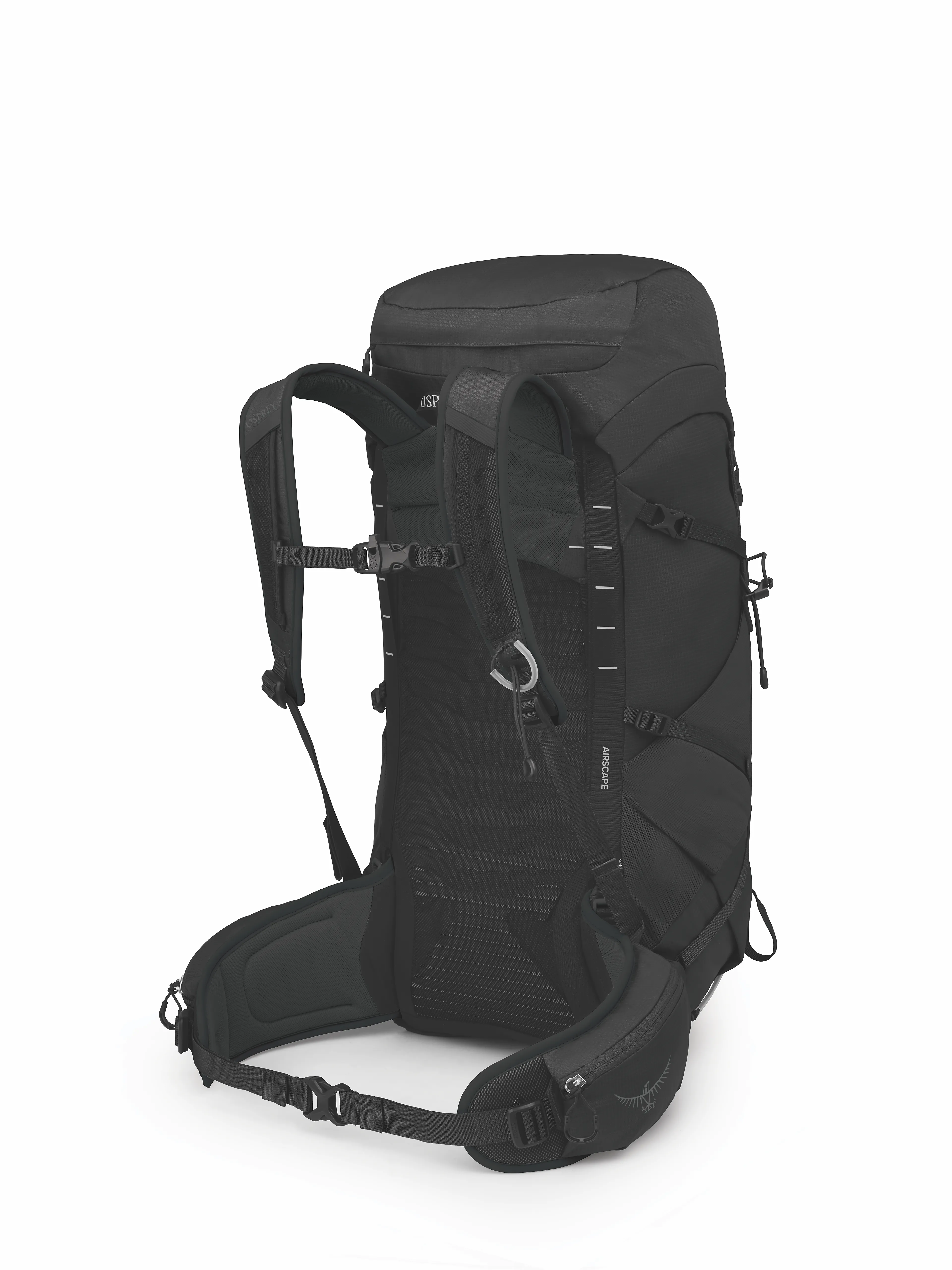 Talon 33