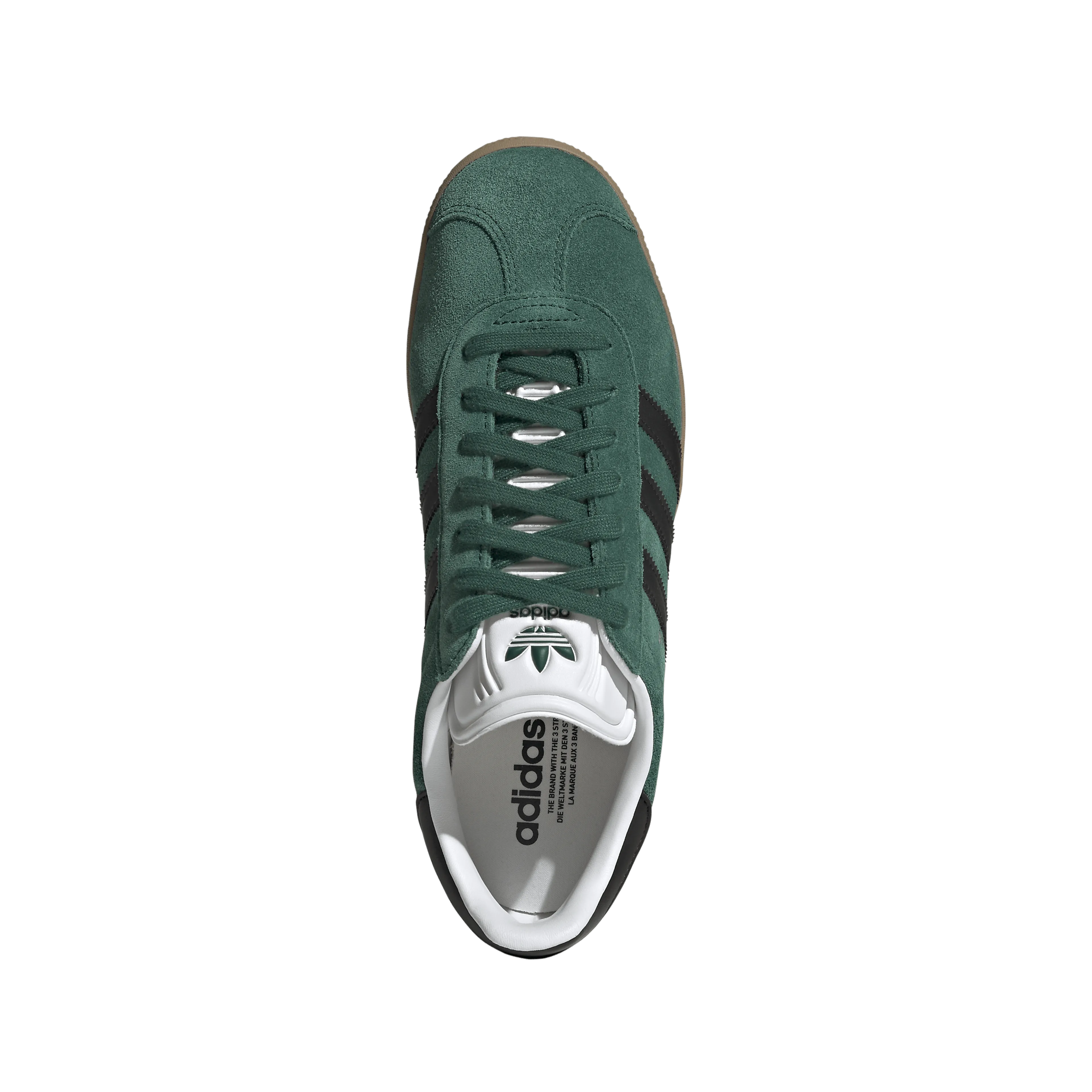 Gazelle