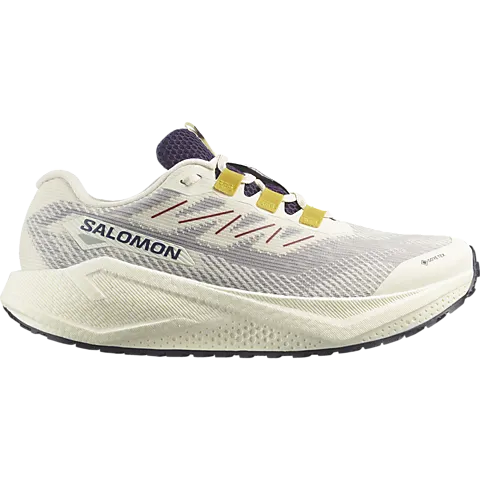 Salomon Aero Blaze GRVL GTX 3 herre