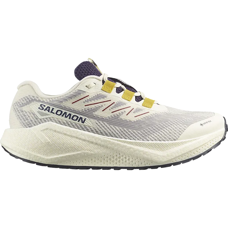Salomon Aero Blaze GRVL GTX 3 herre