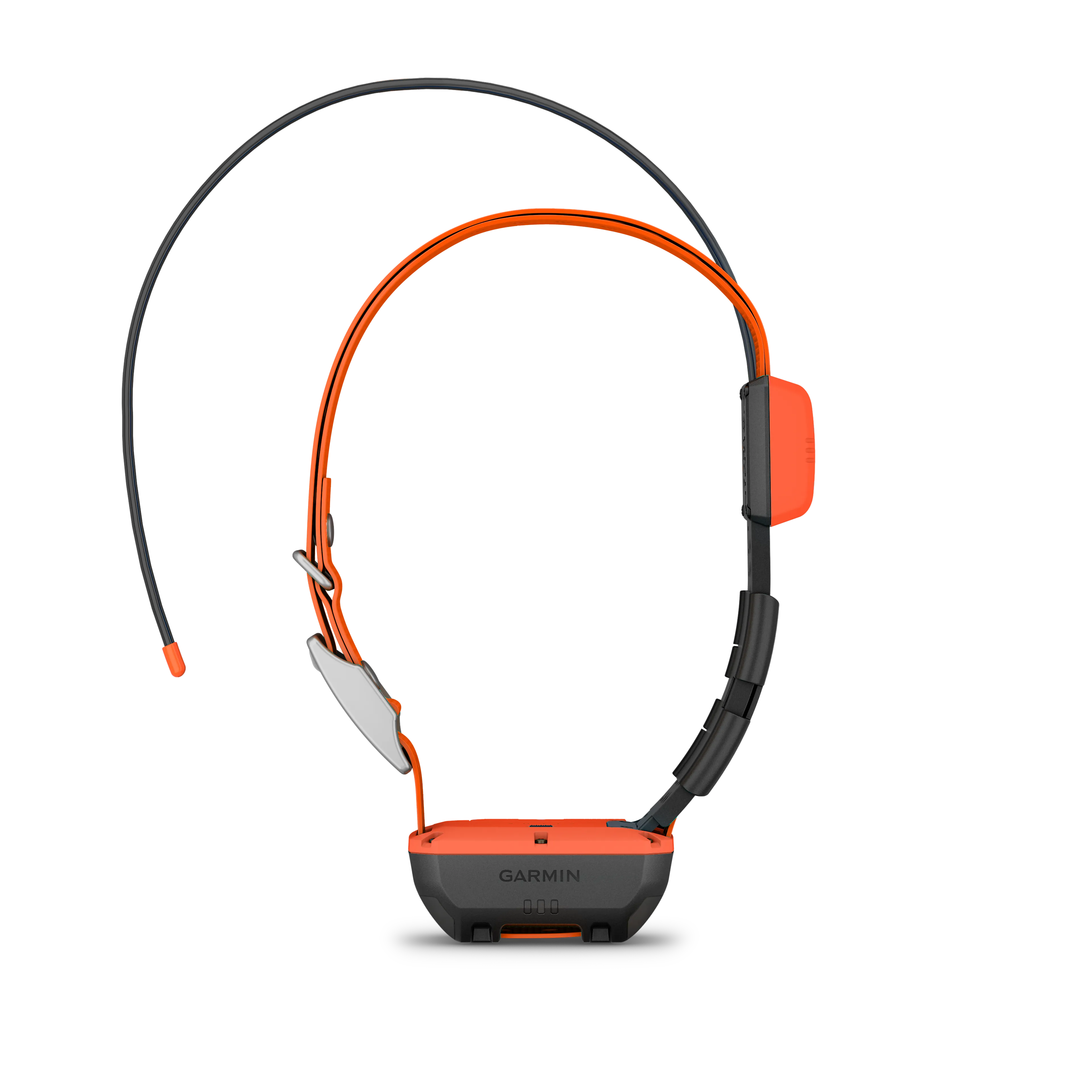 Alpha T20 GPS collar, Nordic